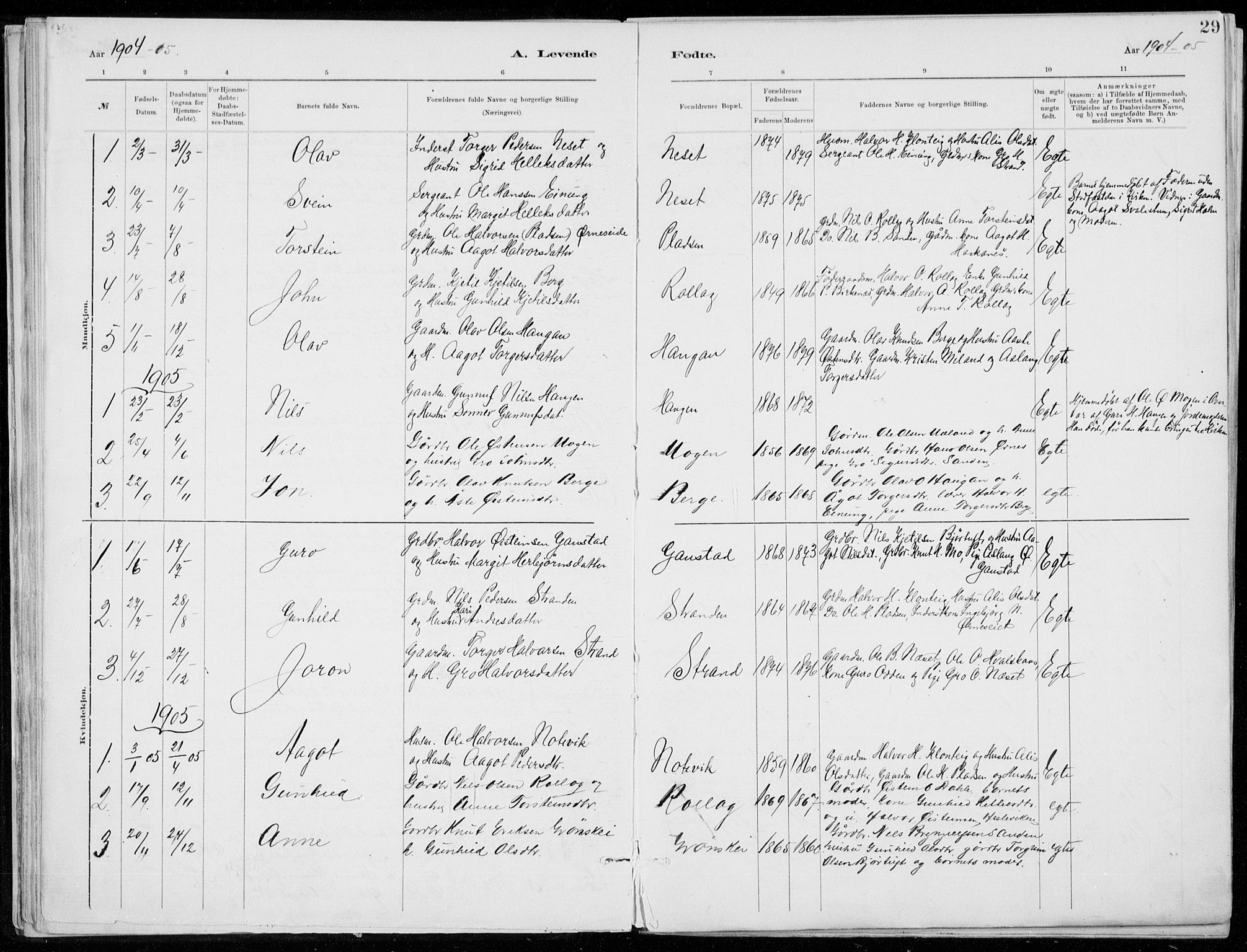 Tinn kirkebøker, AV/SAKO-A-308/F/Fb/L0002: Parish register (official) no. II 2, 1878-1917, p. 29