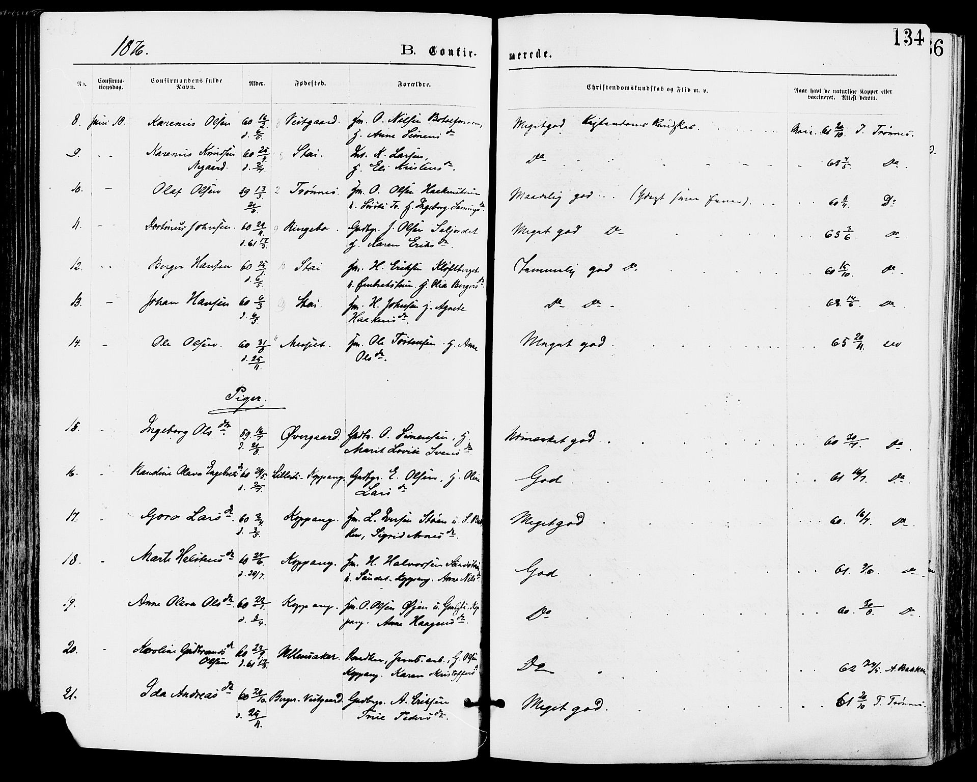 Stor-Elvdal prestekontor, AV/SAH-PREST-052/H/Ha/Haa/L0001: Parish register (official) no. 1, 1871-1882, p. 134