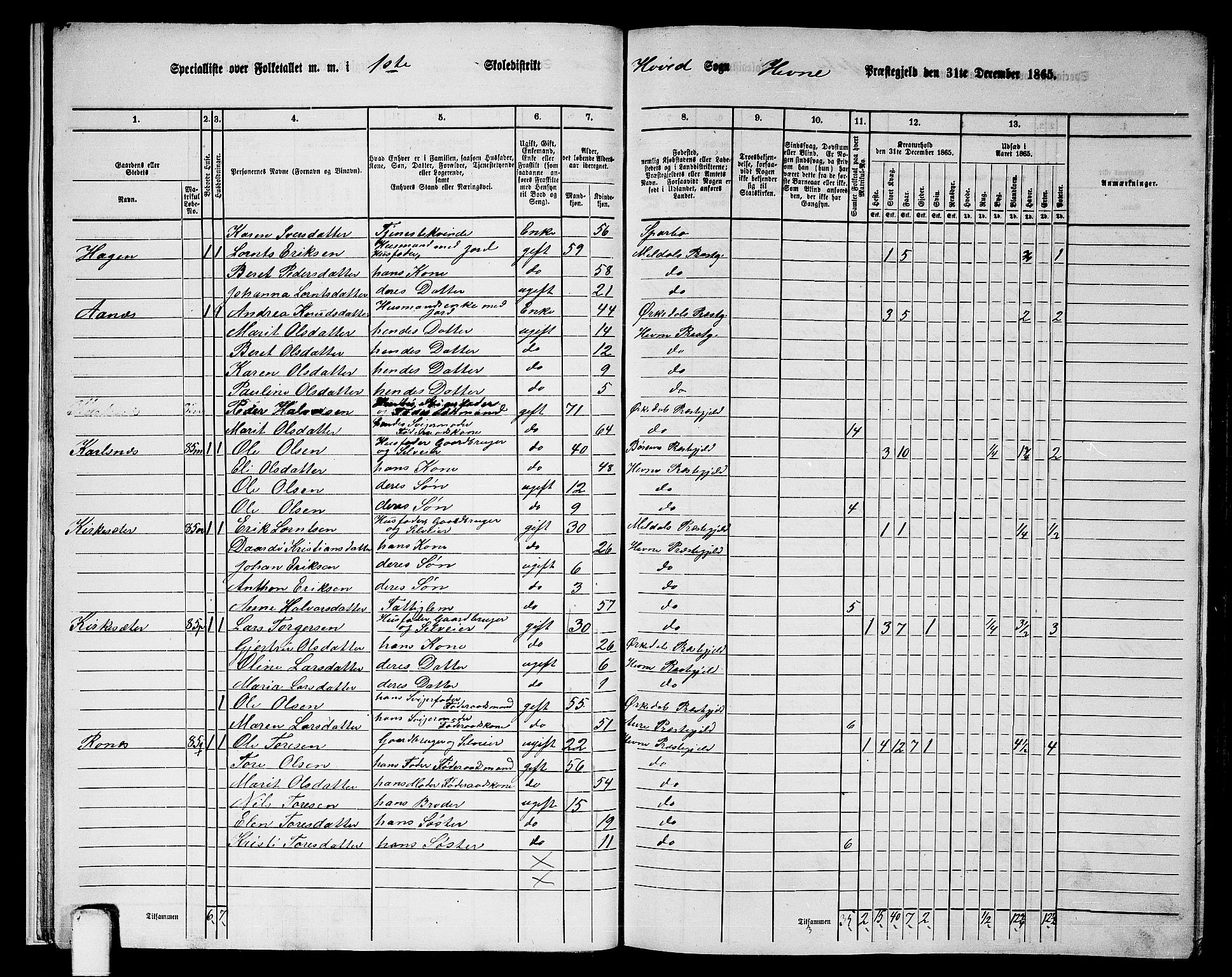 RA, 1865 census for Hemne, 1865, p. 17