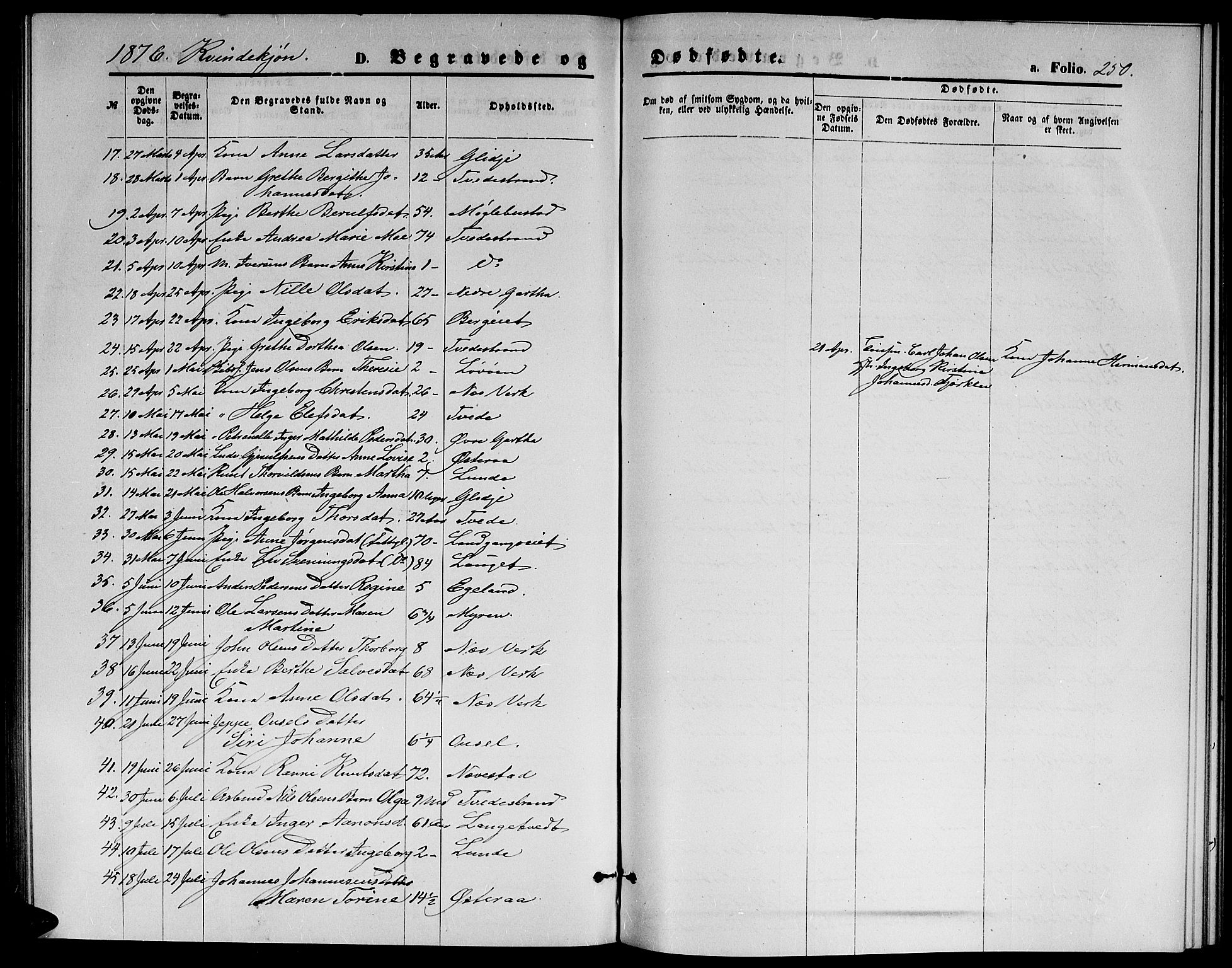 Holt sokneprestkontor, AV/SAK-1111-0021/F/Fb/L0009: Parish register (copy) no. B 9, 1871-1883, p. 250