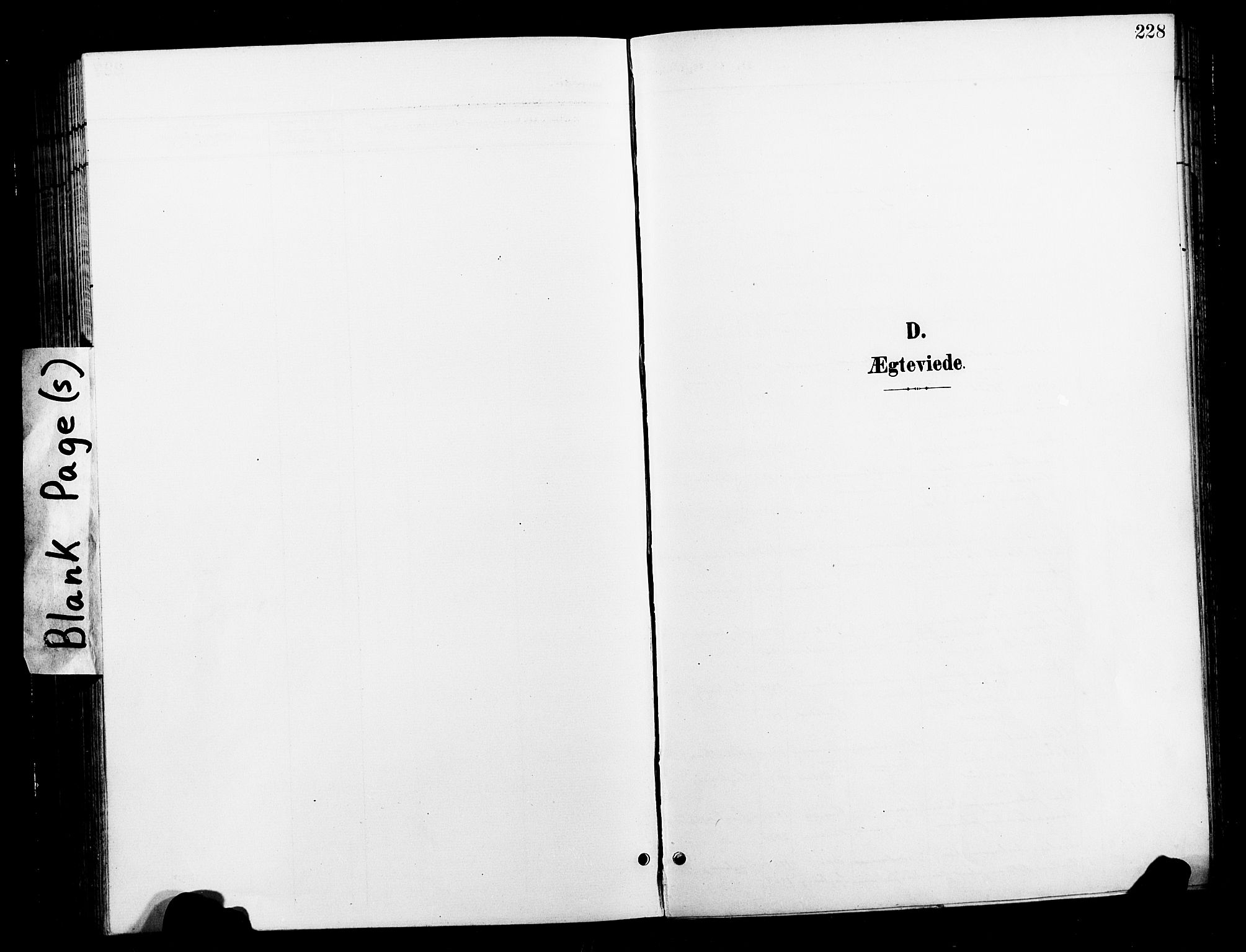 Ministerialprotokoller, klokkerbøker og fødselsregistre - Nord-Trøndelag, AV/SAT-A-1458/730/L0302: Parish register (copy) no. 730C05, 1898-1924, p. 228