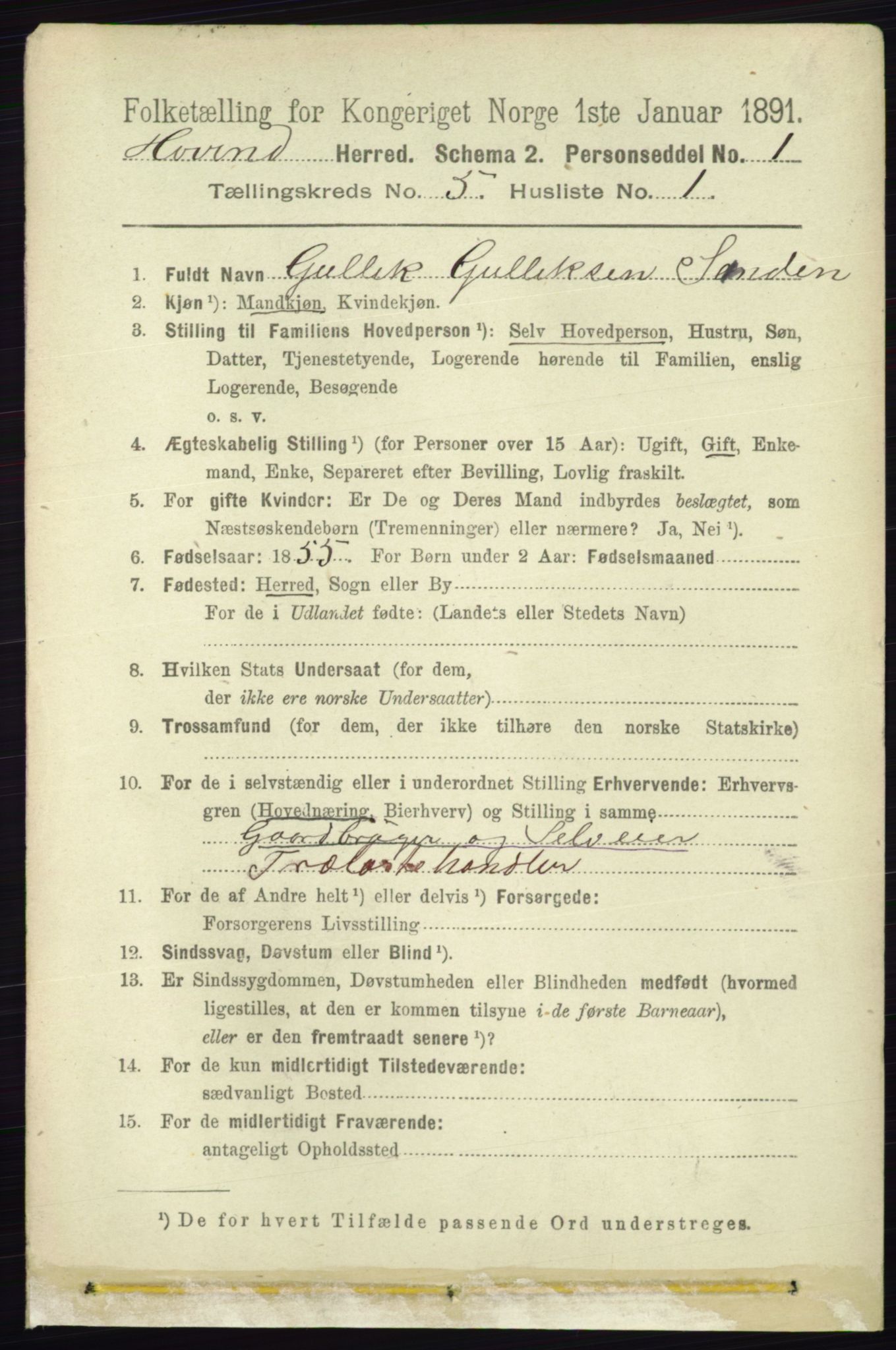 RA, 1891 census for 0825 Hovin, 1891, p. 982