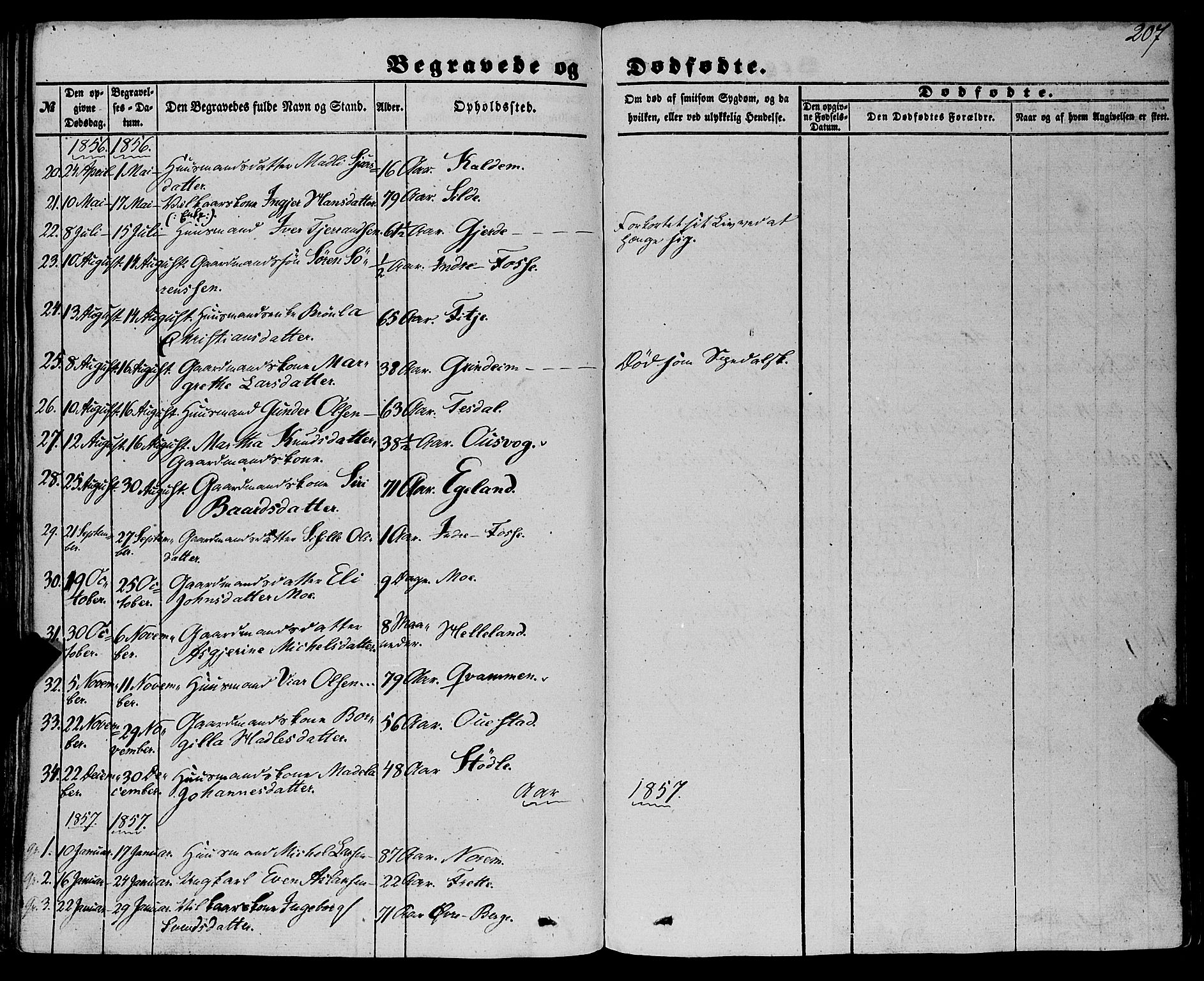 Etne sokneprestembete, AV/SAB-A-75001/H/Haa: Parish register (official) no. A 8, 1848-1862, p. 207