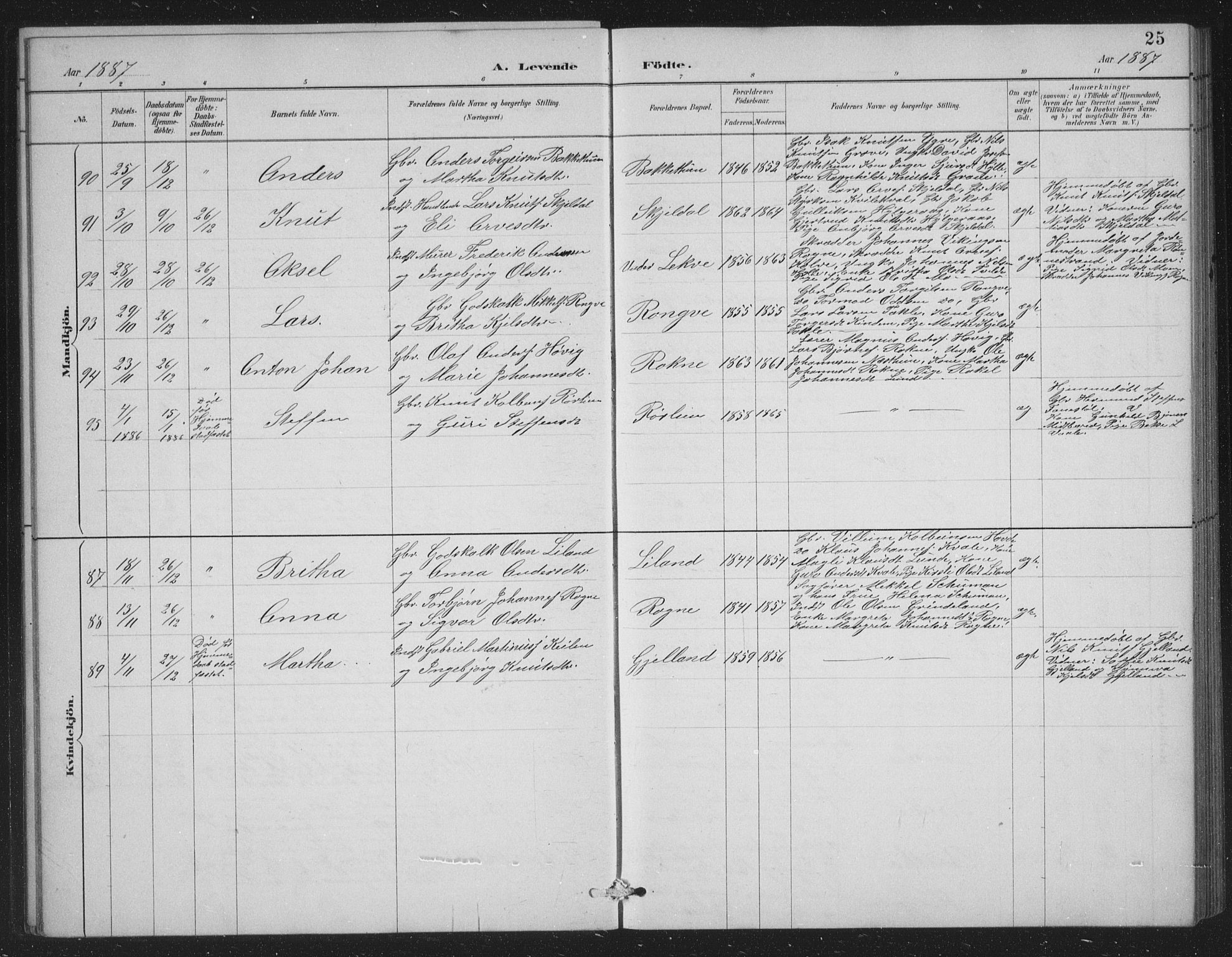 Voss sokneprestembete, SAB/A-79001/H/Hab: Parish register (copy) no. C 1, 1886-1899, p. 25