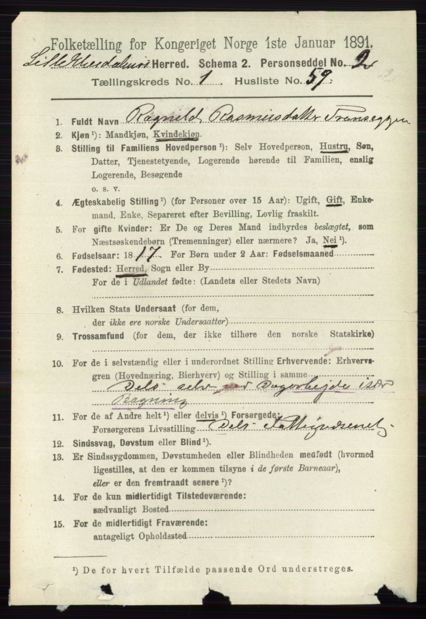 RA, 1891 census for 0438 Lille Elvedalen, 1891, p. 480