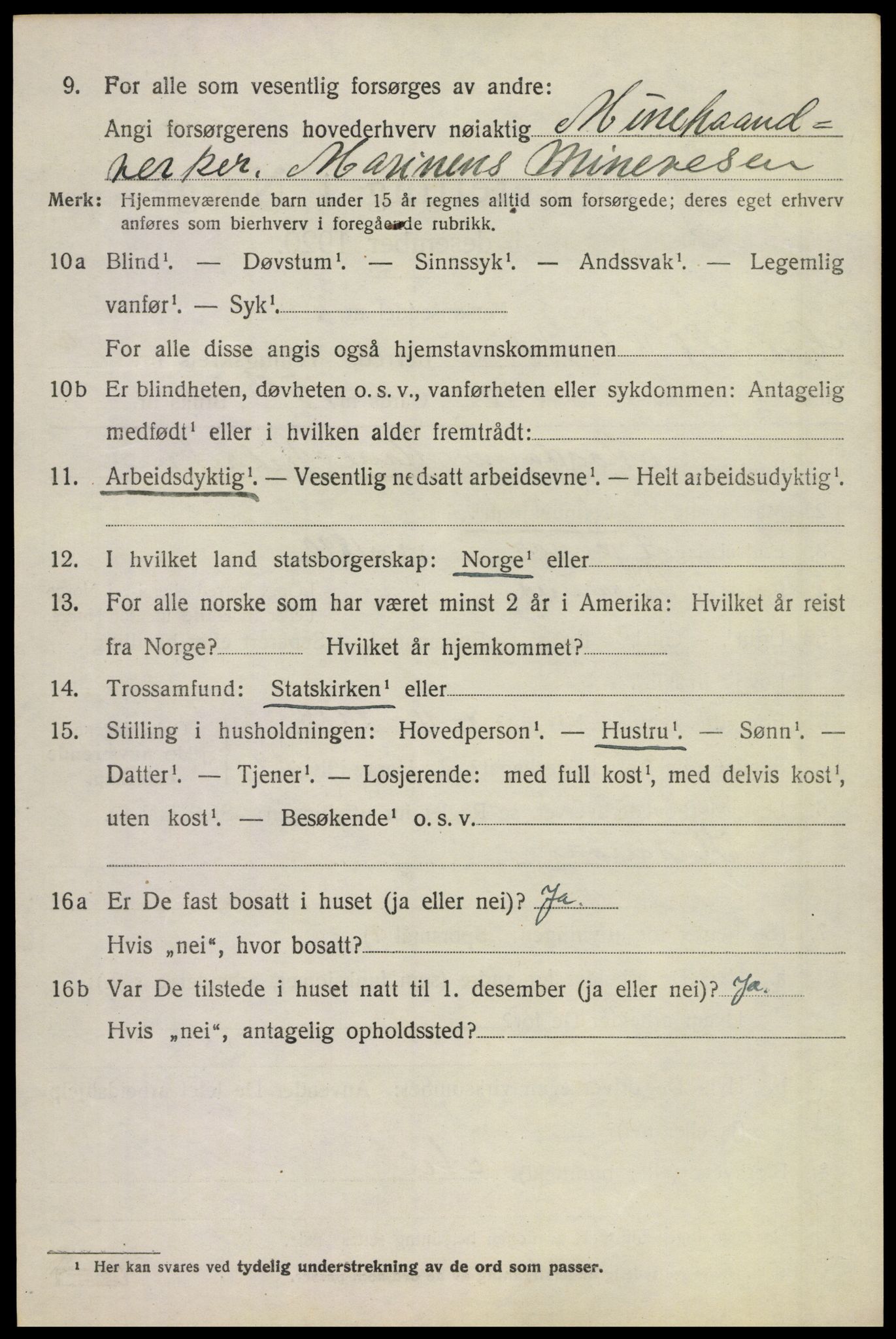 SAKO, 1920 census for Borre, 1920, p. 1919