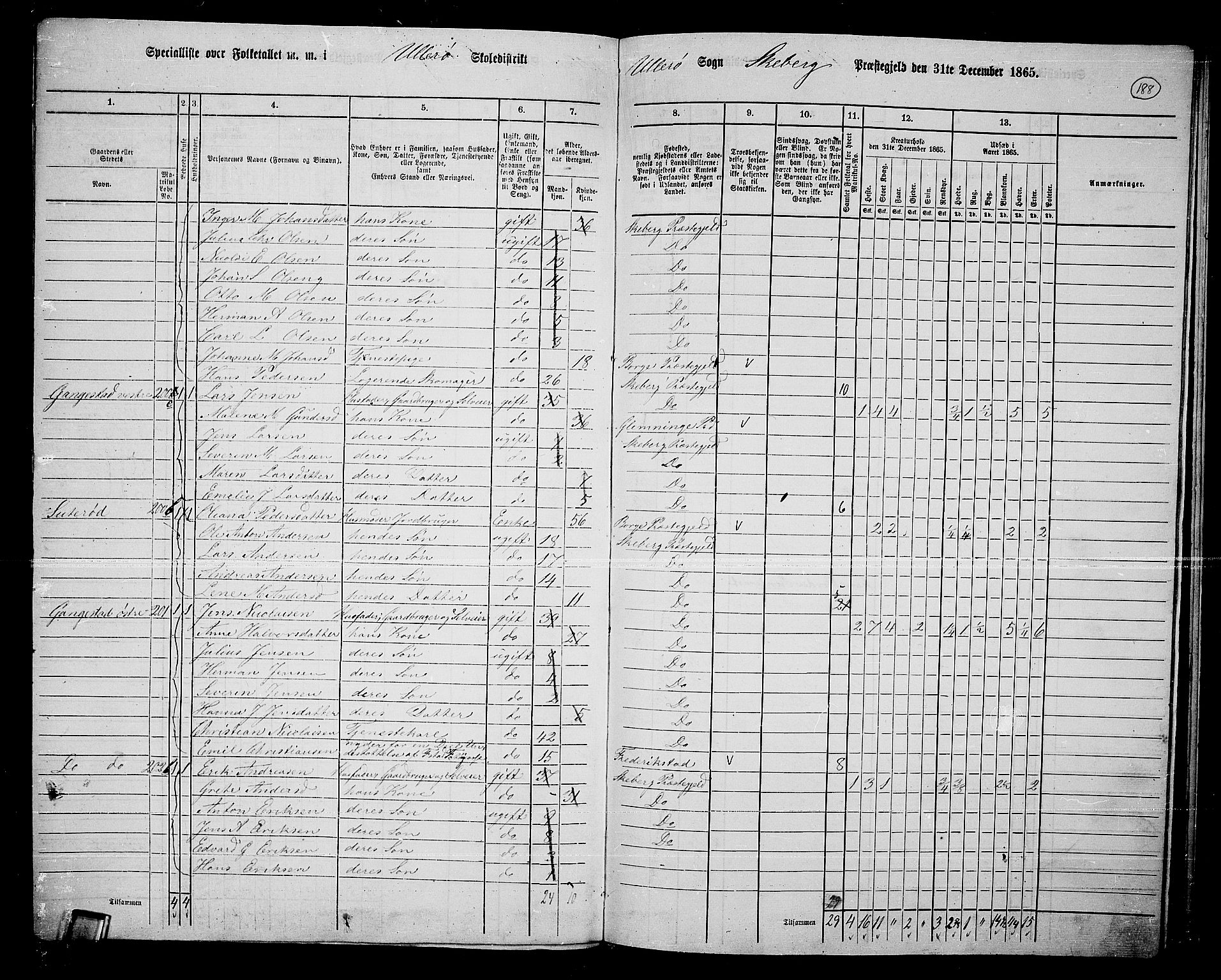 RA, 1865 census for Skjeberg, 1865, p. 171