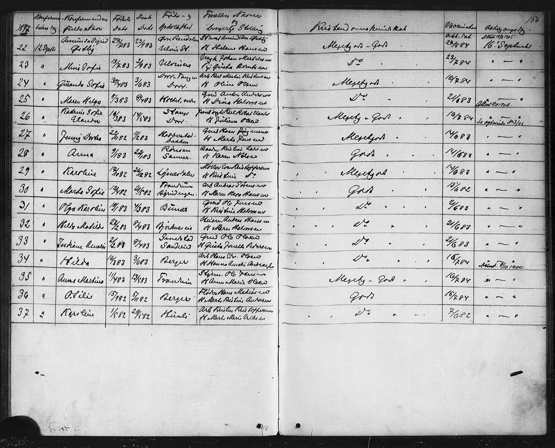 Eidsvoll prestekontor Kirkebøker, SAO/A-10888/G/Gb/L0002: Parish register (copy) no. II 2, 1877-1897, p. 156