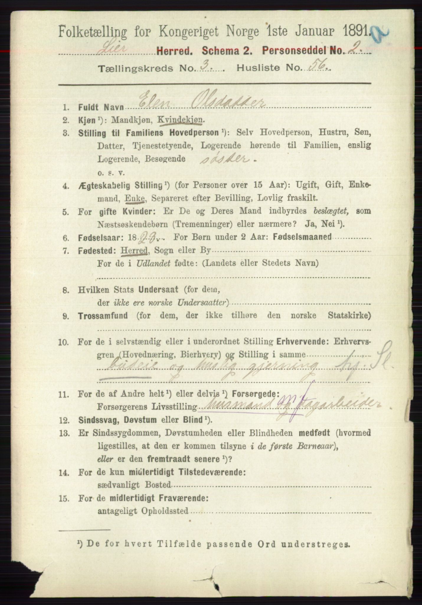 RA, 1891 census for 0626 Lier, 1891, p. 2802