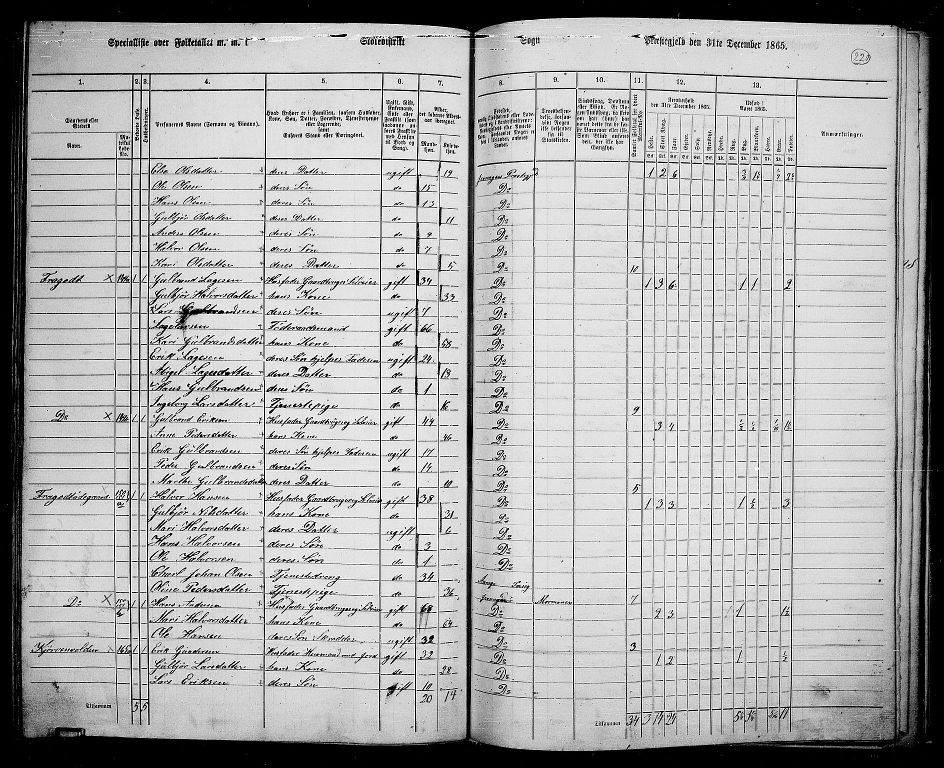 RA, 1865 census for Jevnaker, 1865, p. 204