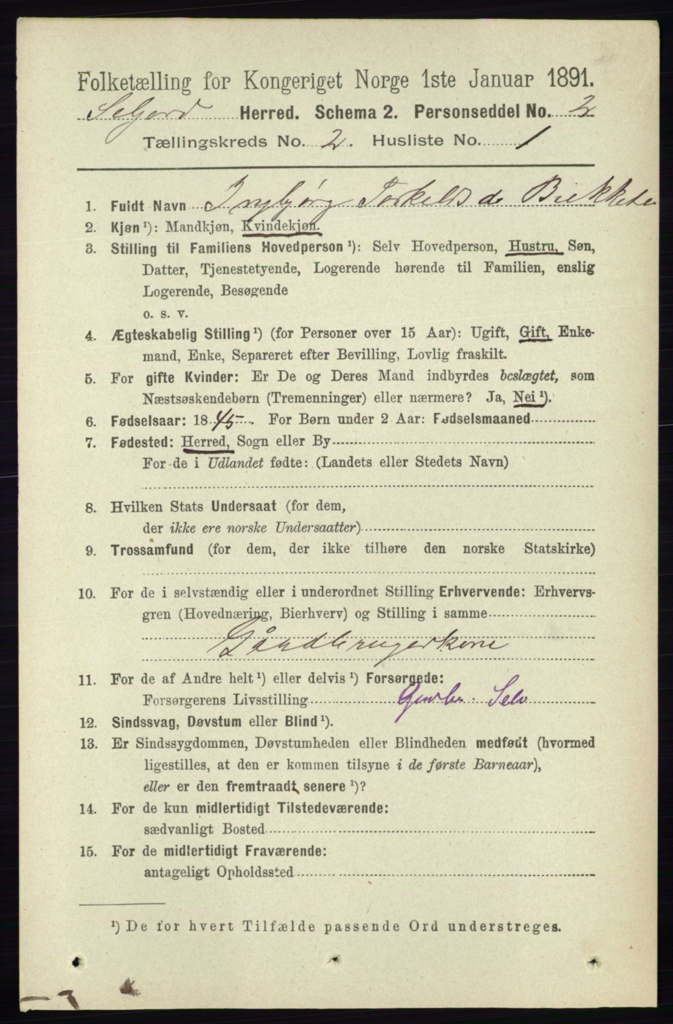 RA, 1891 census for 0828 Seljord, 1891, p. 572