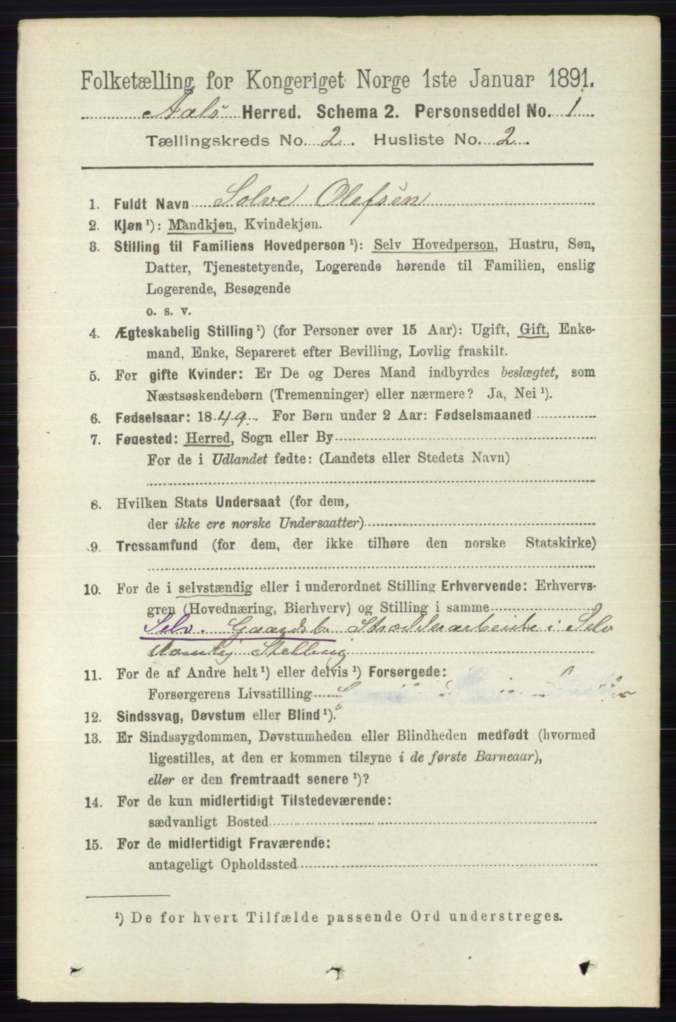 RA, 1891 census for 0619 Ål, 1891, p. 376