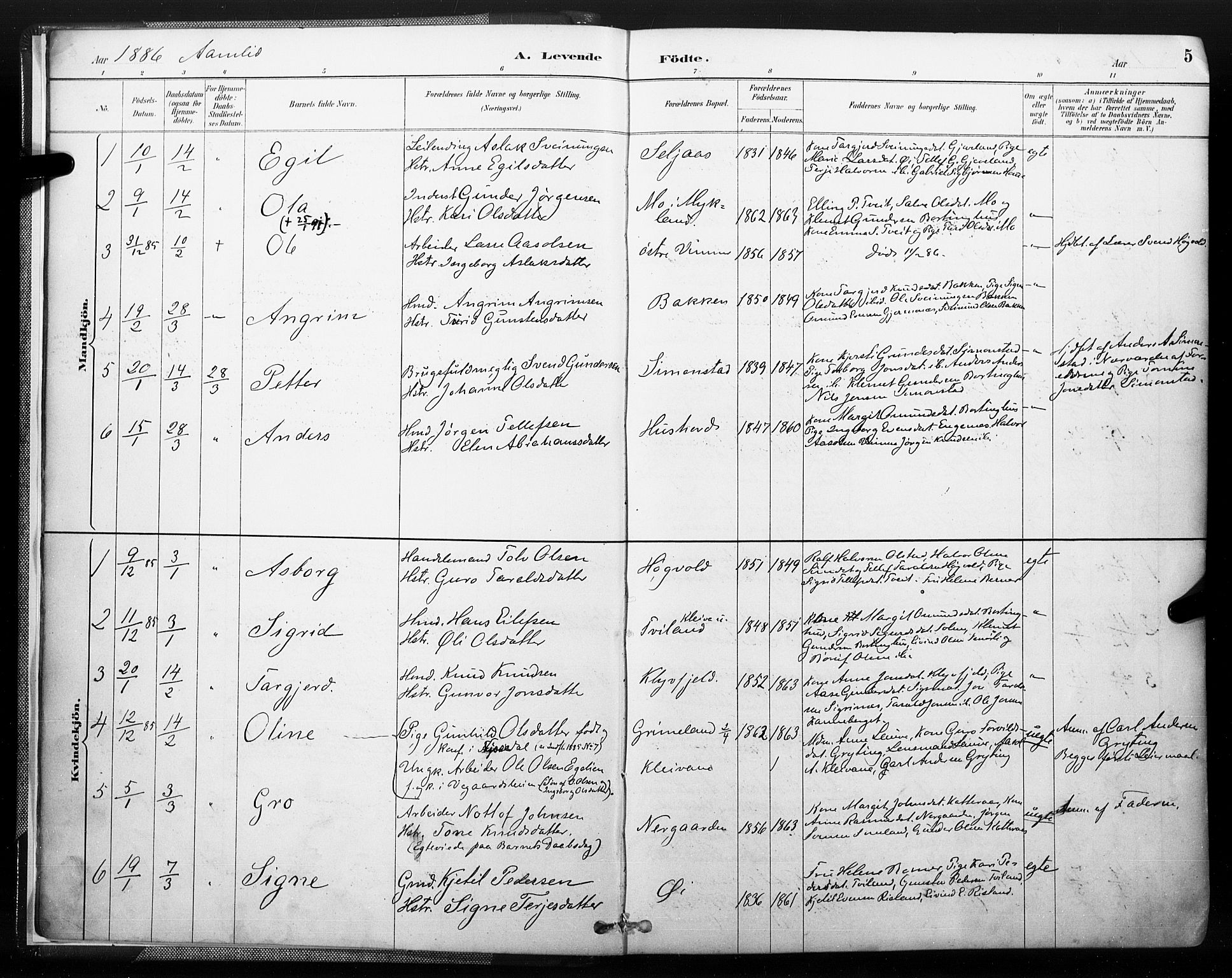 Åmli sokneprestkontor, SAK/1111-0050/F/Fa/Fac/L0010: Parish register (official) no. A 10 /1, 1885-1899, p. 5