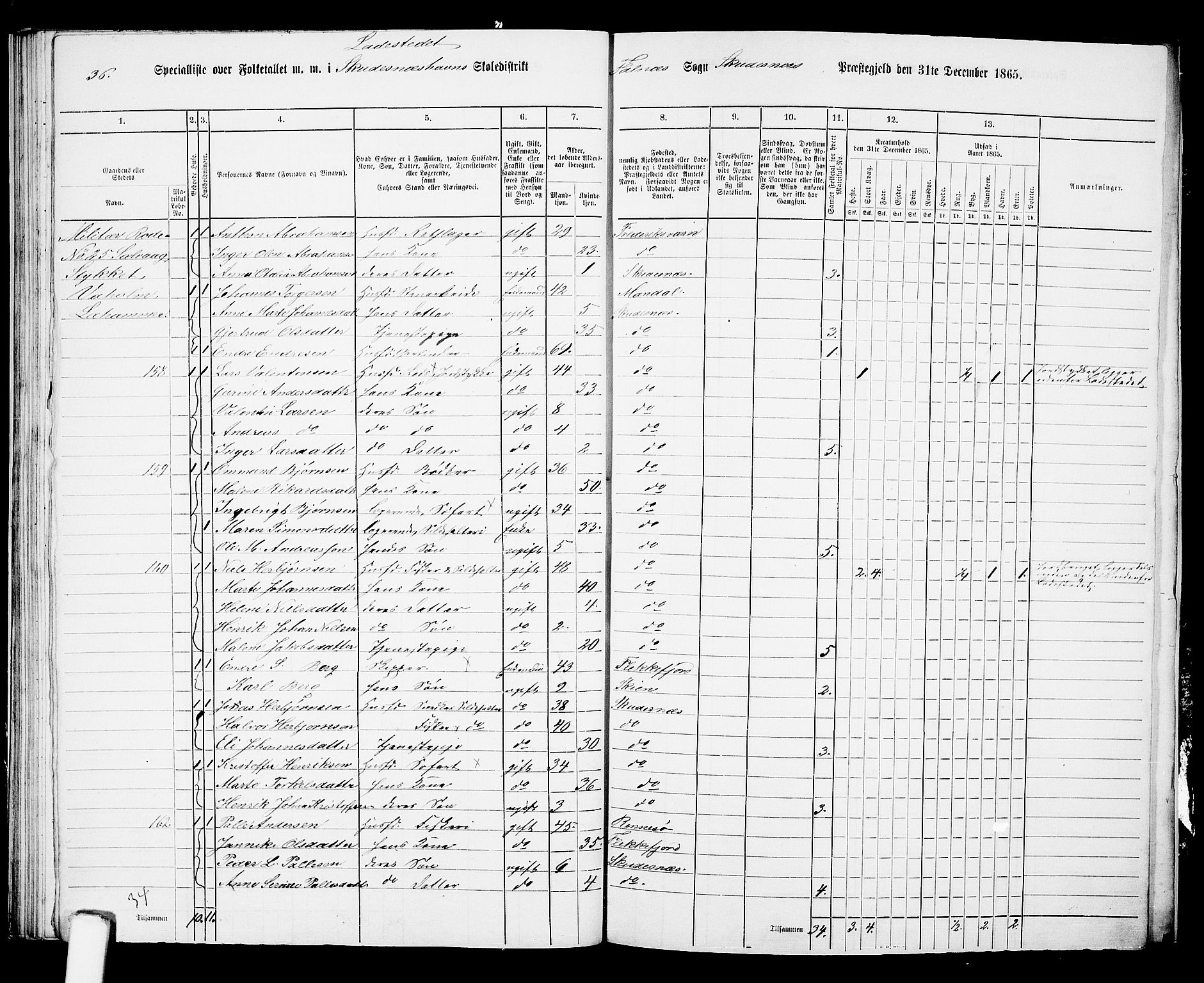 RA, 1865 census for Skudenes, 1865, p. 238