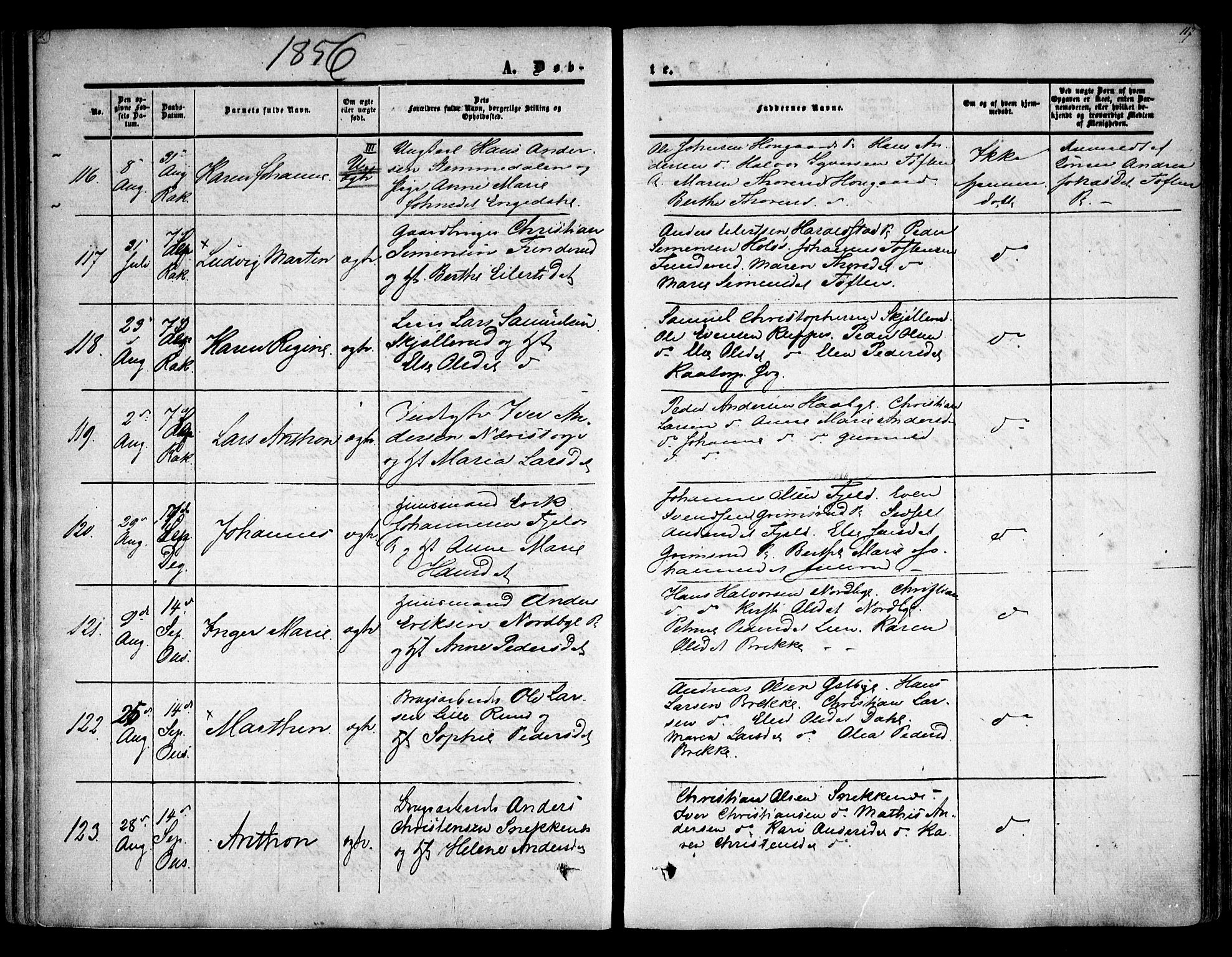 Rakkestad prestekontor Kirkebøker, AV/SAO-A-2008/F/Fa/L0009: Parish register (official) no. I 9, 1850-1856, p. 117