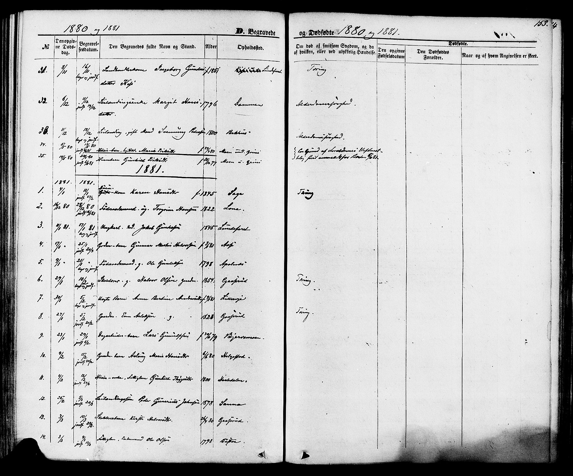 Lunde kirkebøker, SAKO/A-282/F/Fa/L0001: Parish register (official) no. I 1, 1866-1883, p. 153