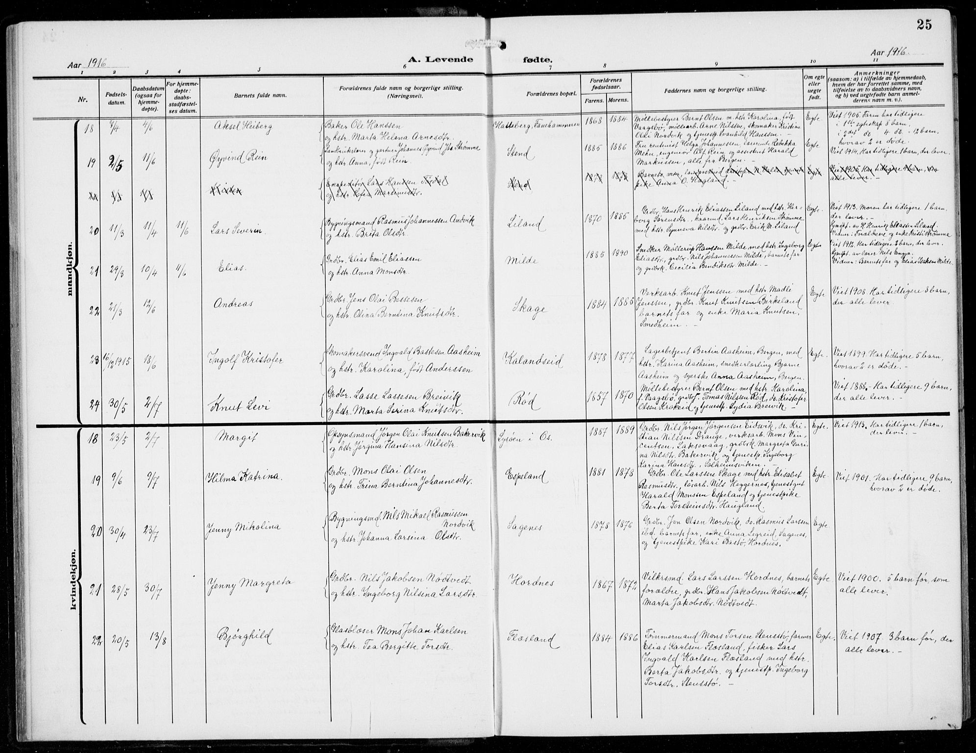 Fana Sokneprestembete, AV/SAB-A-75101/H/Hab/Haba/L0005: Parish register (copy) no. A 5, 1911-1932, p. 25