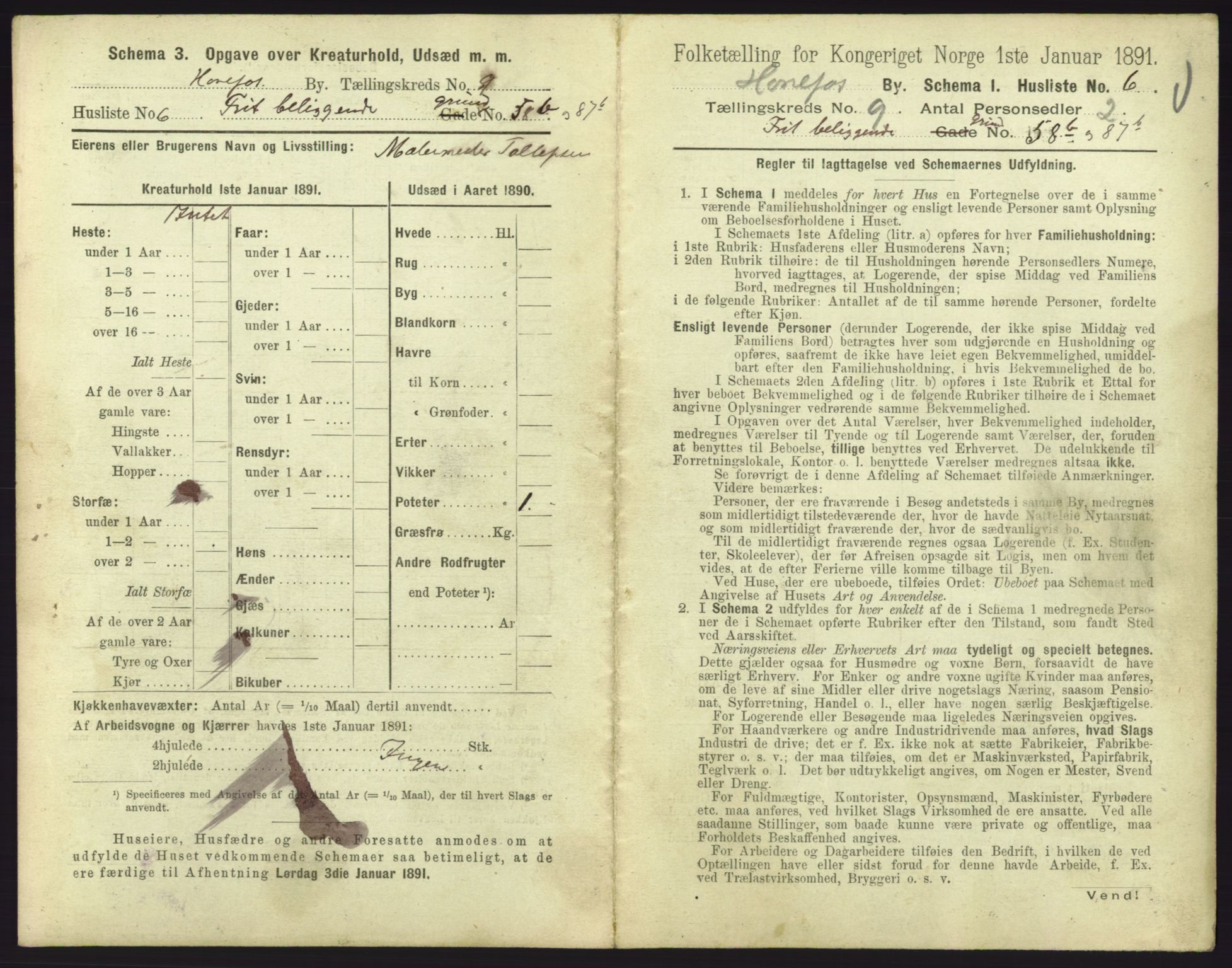 RA, 1891 census for 0601 Hønefoss, 1891, p. 229