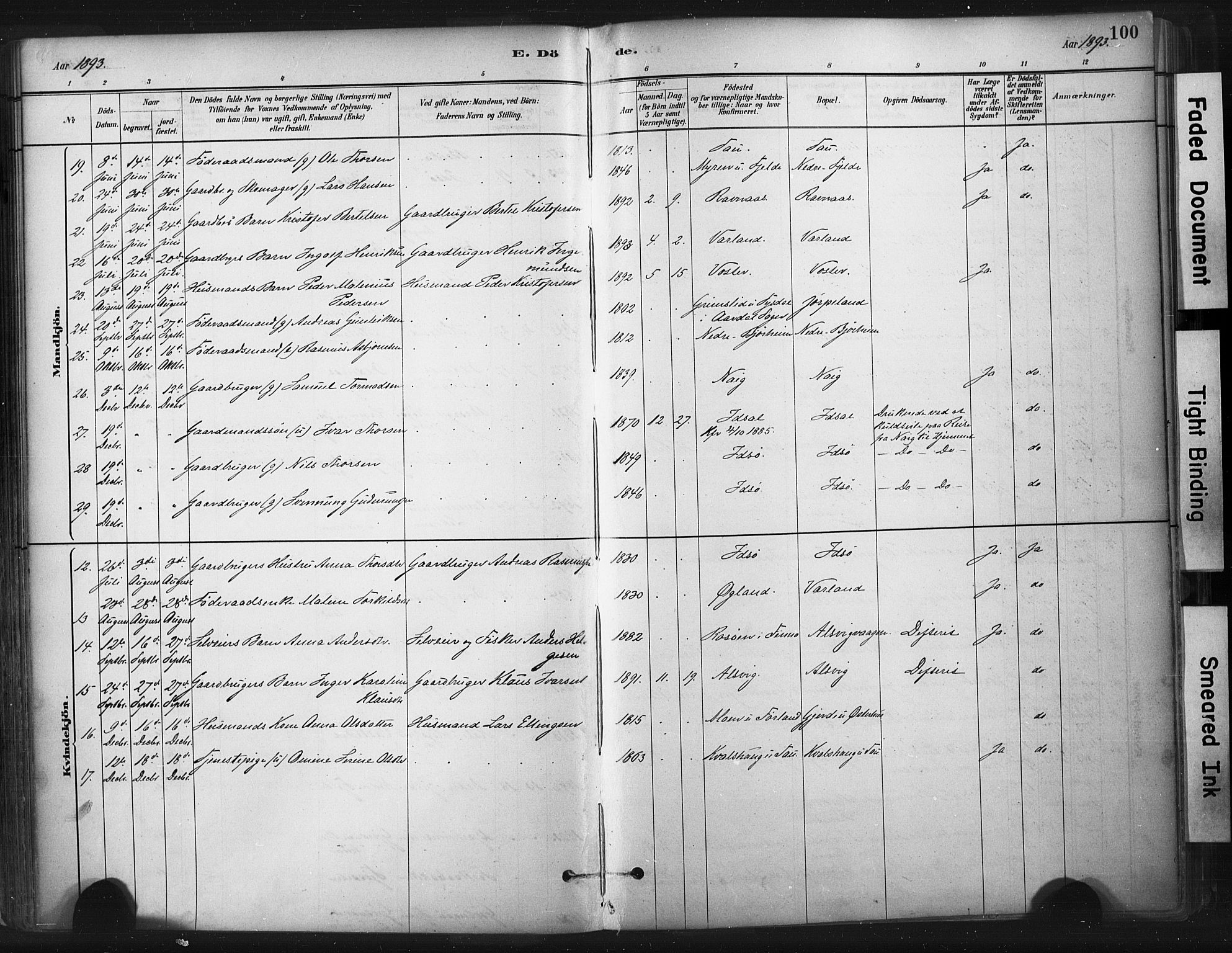 Strand sokneprestkontor, AV/SAST-A-101828/H/Ha/Haa/L0010: Parish register (official) no. A 10, 1882-1929, p. 100