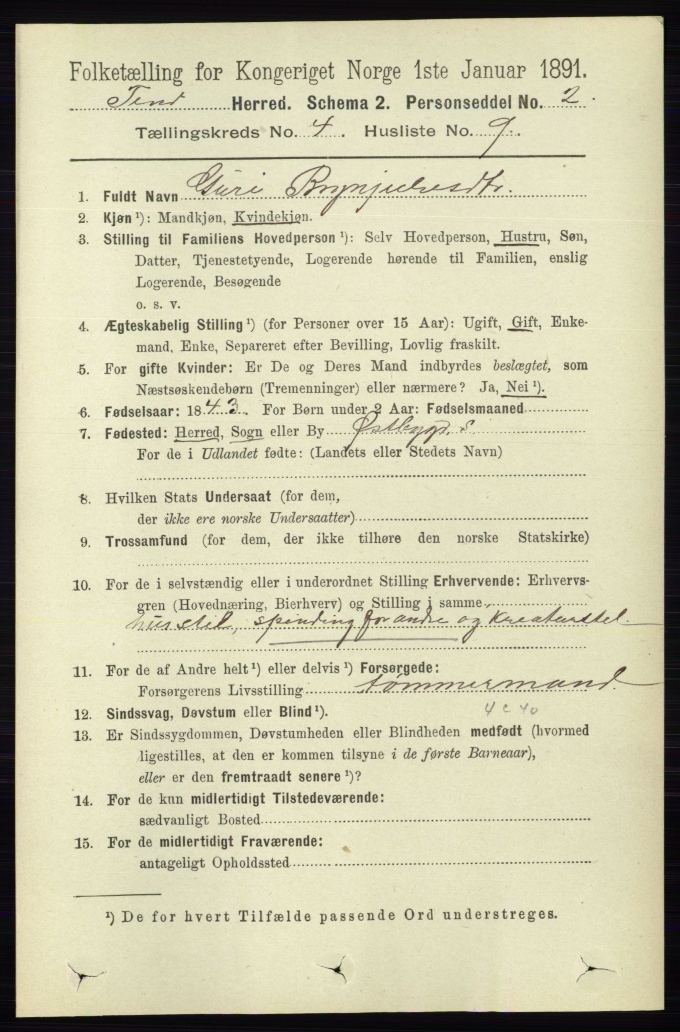 RA, 1891 census for 0826 Tinn, 1891, p. 776