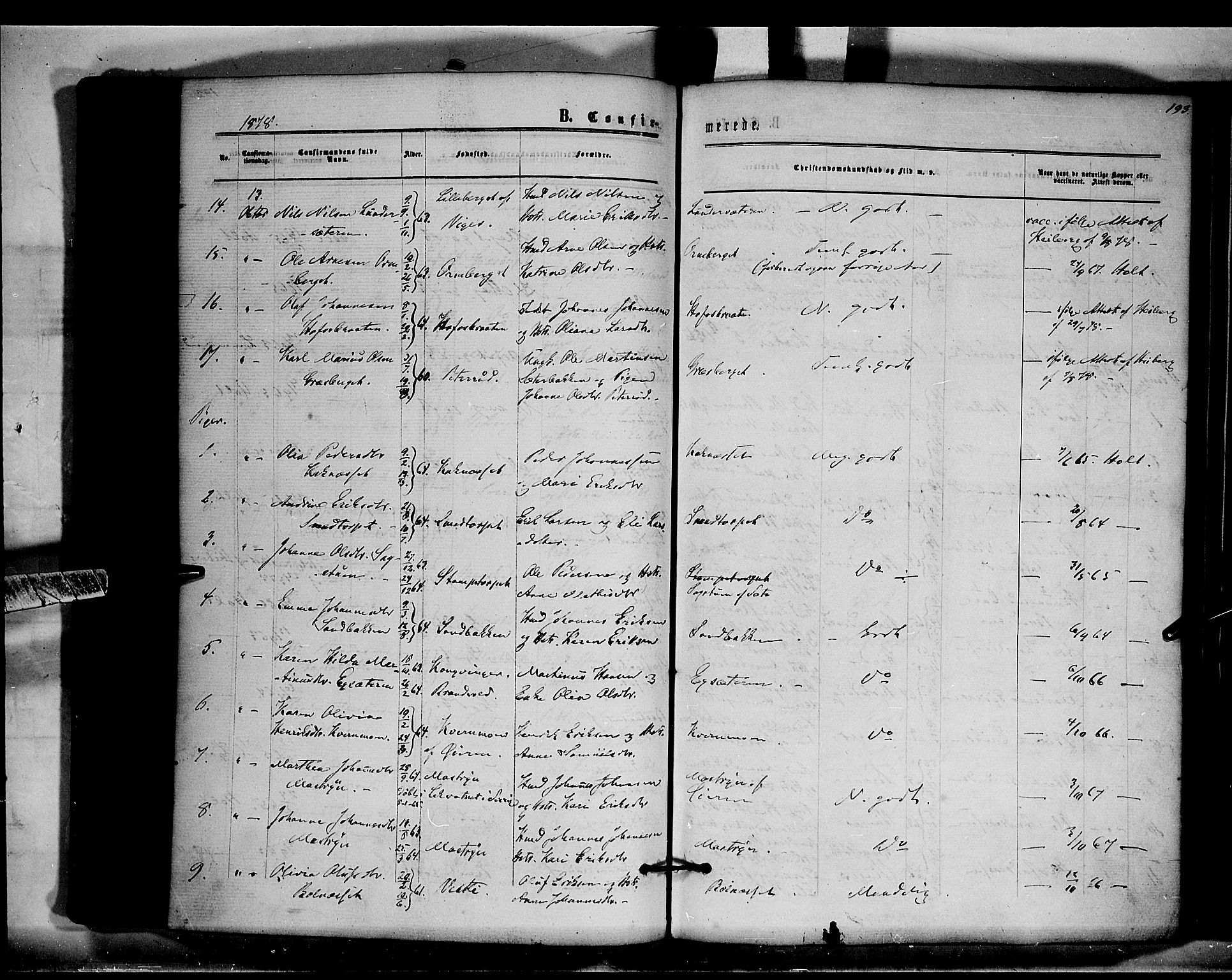 Brandval prestekontor, SAH/PREST-034/H/Ha/Haa/L0001: Parish register (official) no. 1, 1864-1879, p. 193