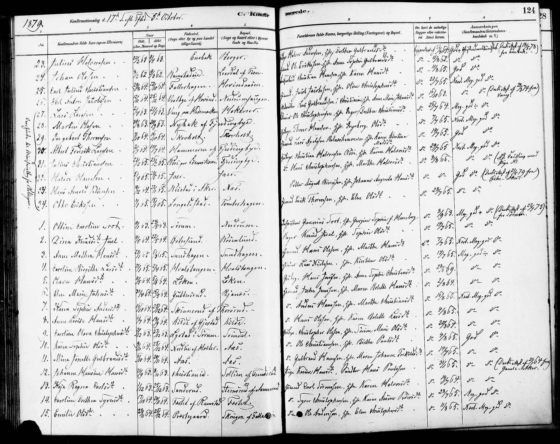 Fet prestekontor Kirkebøker, SAO/A-10370a/F/Fa/L0014: Parish register (official) no. I 14, 1878-1891, p. 124
