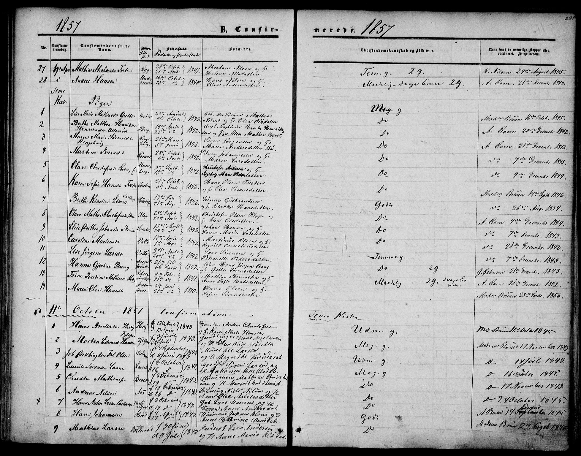 Sem kirkebøker, AV/SAKO-A-5/F/Fa/L0007: Parish register (official) no. I 7, 1856-1865, p. 225