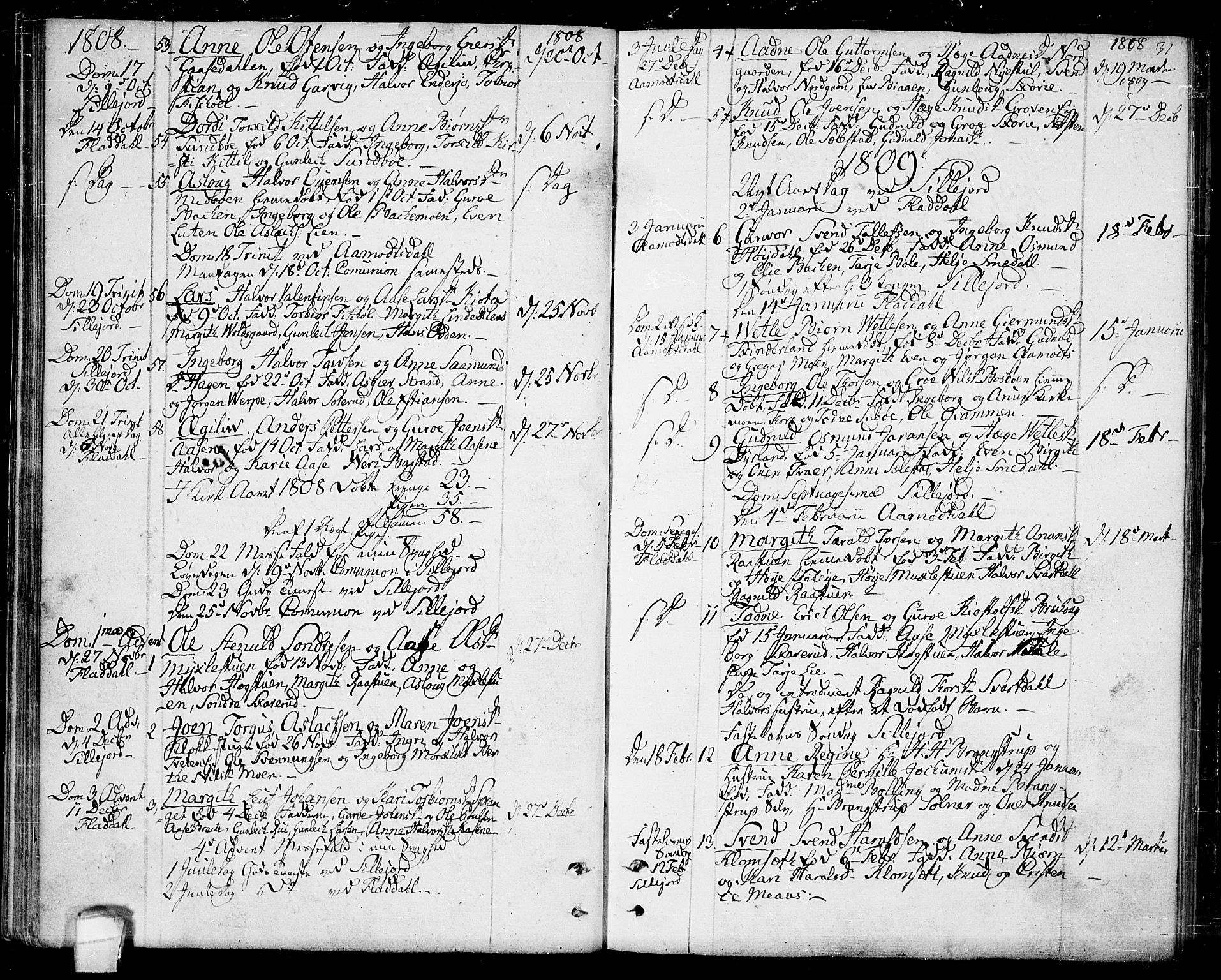 Seljord kirkebøker, SAKO/A-20/F/Fa/L0009: Parish register (official) no. I 9, 1801-1814, p. 31