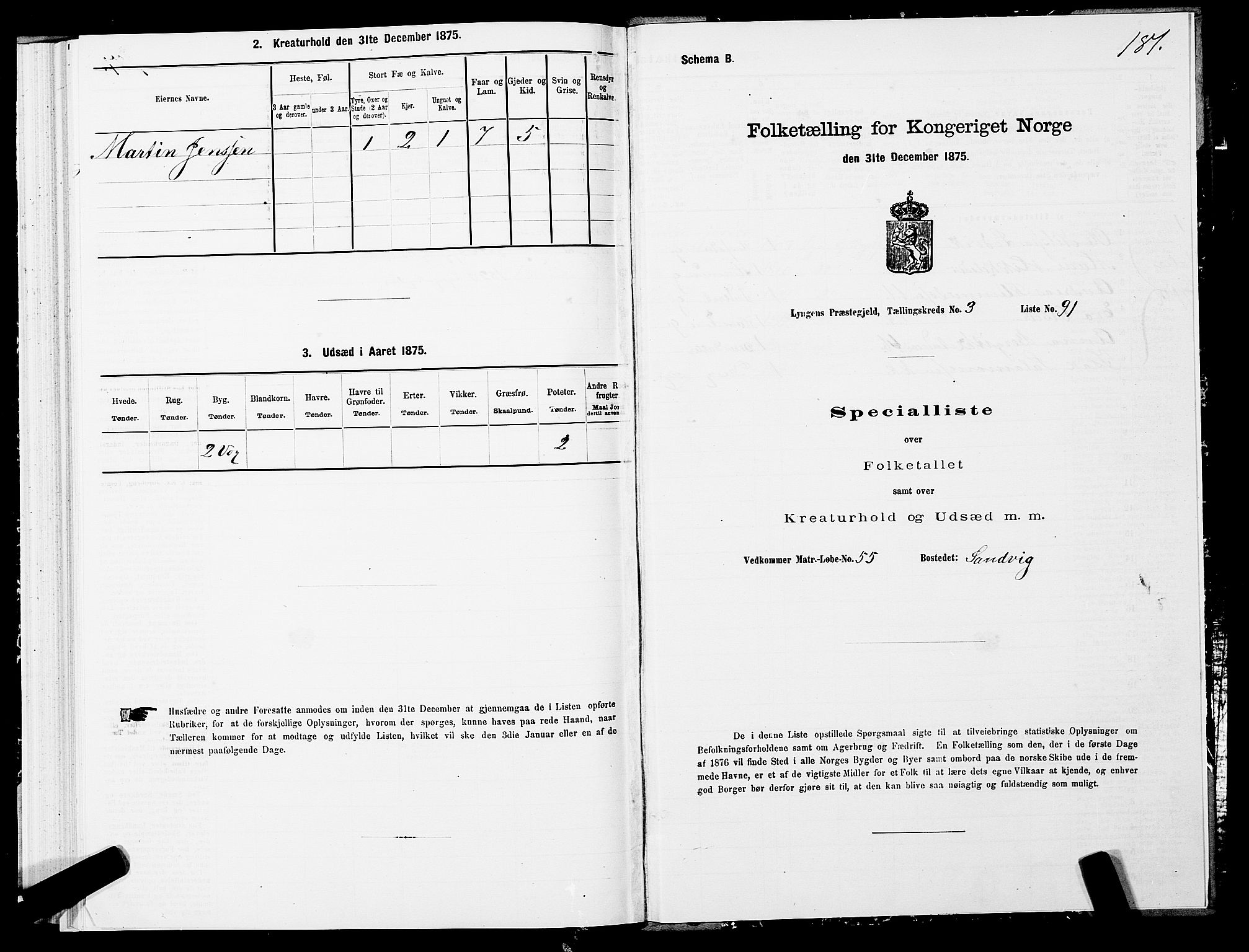 SATØ, 1875 census for 1938P Lyngen, 1875, p. 3181