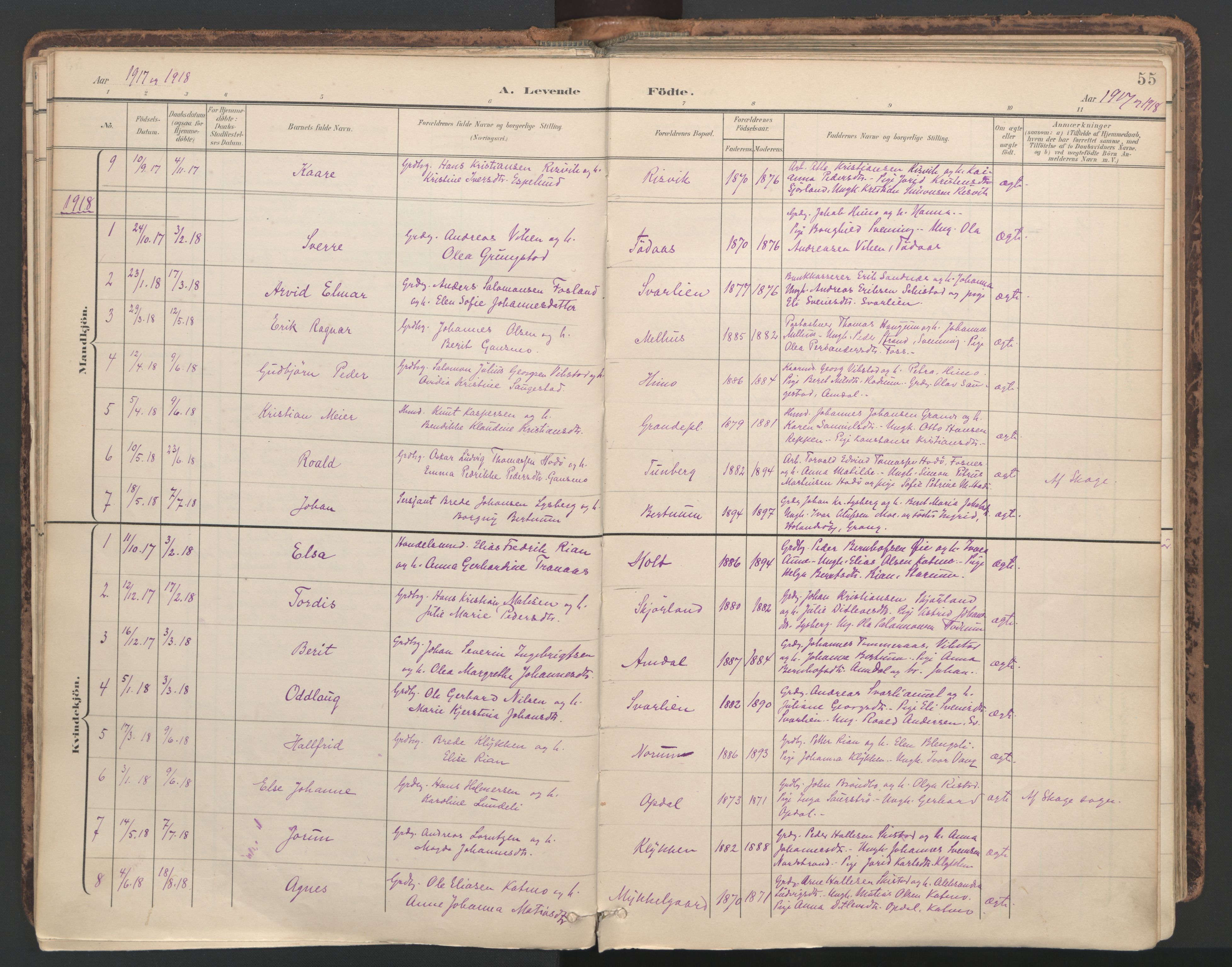 Ministerialprotokoller, klokkerbøker og fødselsregistre - Nord-Trøndelag, SAT/A-1458/764/L0556: Parish register (official) no. 764A11, 1897-1924, p. 55