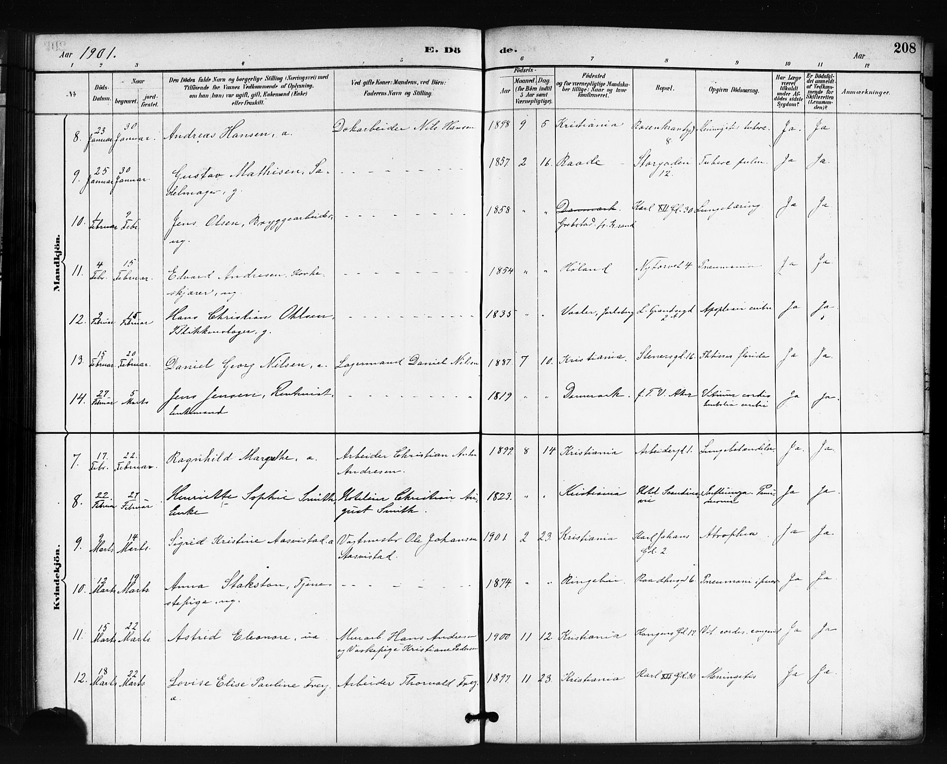 Oslo domkirke Kirkebøker, AV/SAO-A-10752/F/Fa/L0035: Parish register (official) no. 35, 1885-1901, p. 208