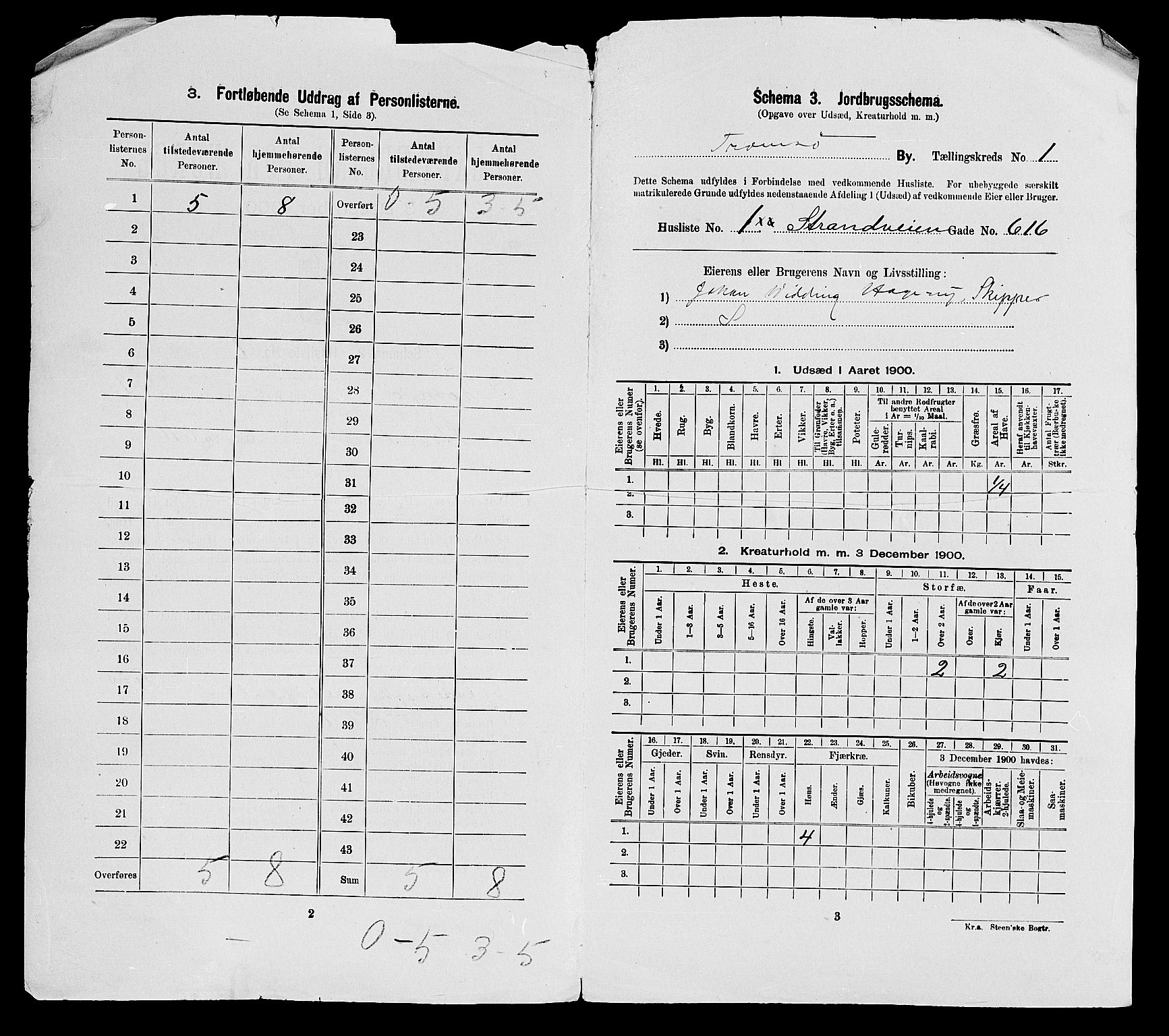 SATØ, 1900 census for Tromsø, 1900, p. 49