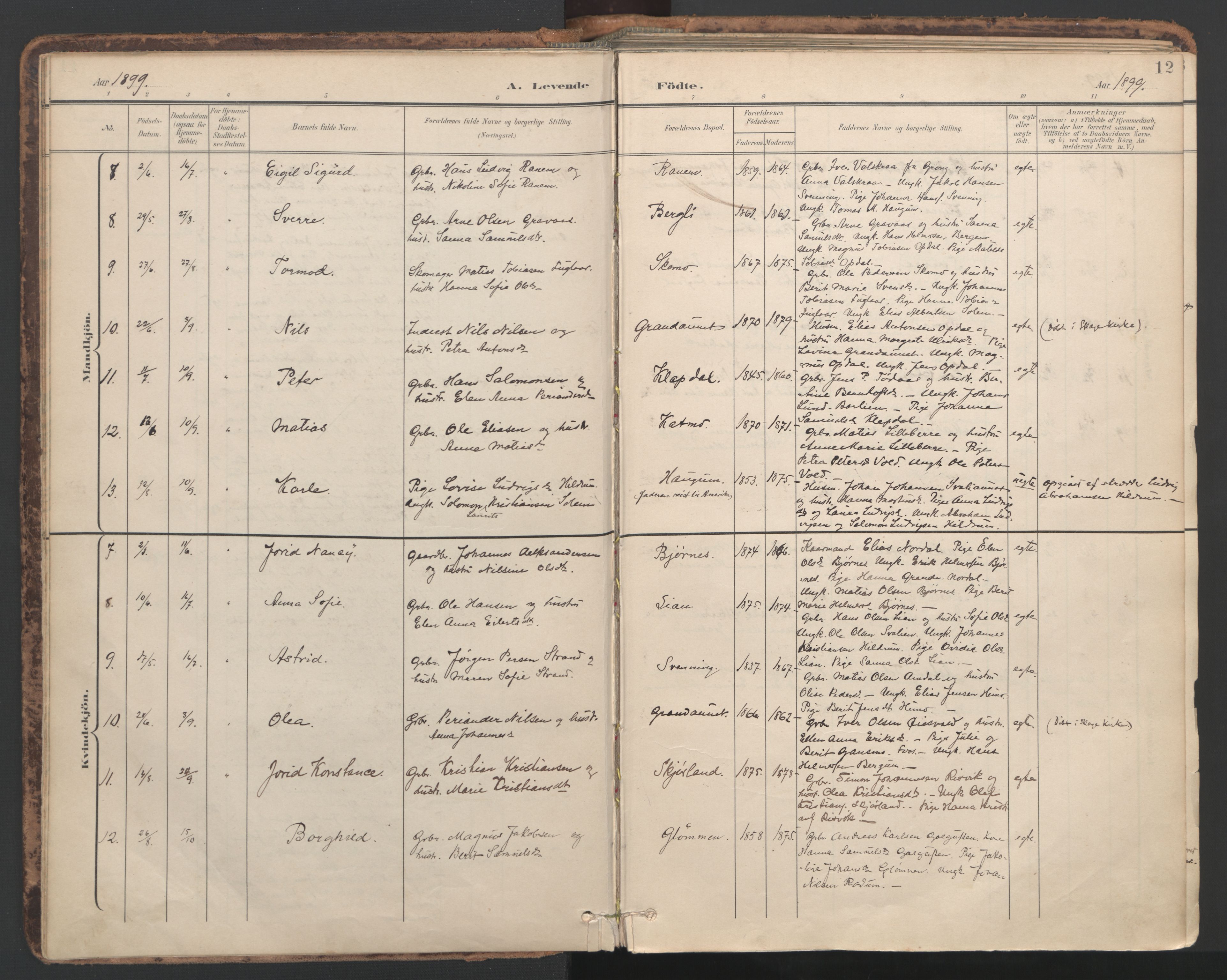 Ministerialprotokoller, klokkerbøker og fødselsregistre - Nord-Trøndelag, AV/SAT-A-1458/764/L0556: Parish register (official) no. 764A11, 1897-1924, p. 12