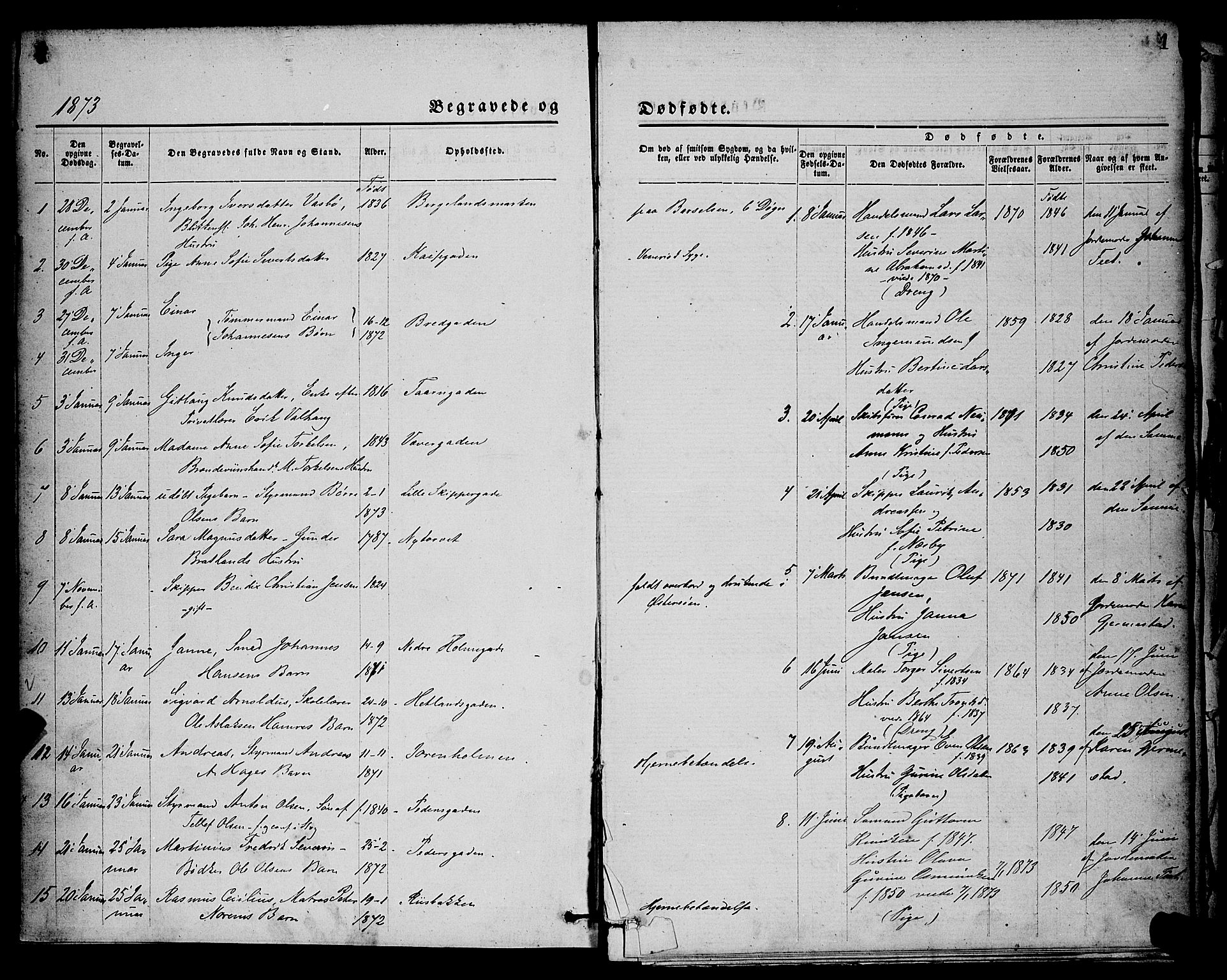 St. Petri sokneprestkontor, SAST/A-101813/001/30/30BA/L0012: Parish register (official) no. A 12, 1873-1878, p. 1