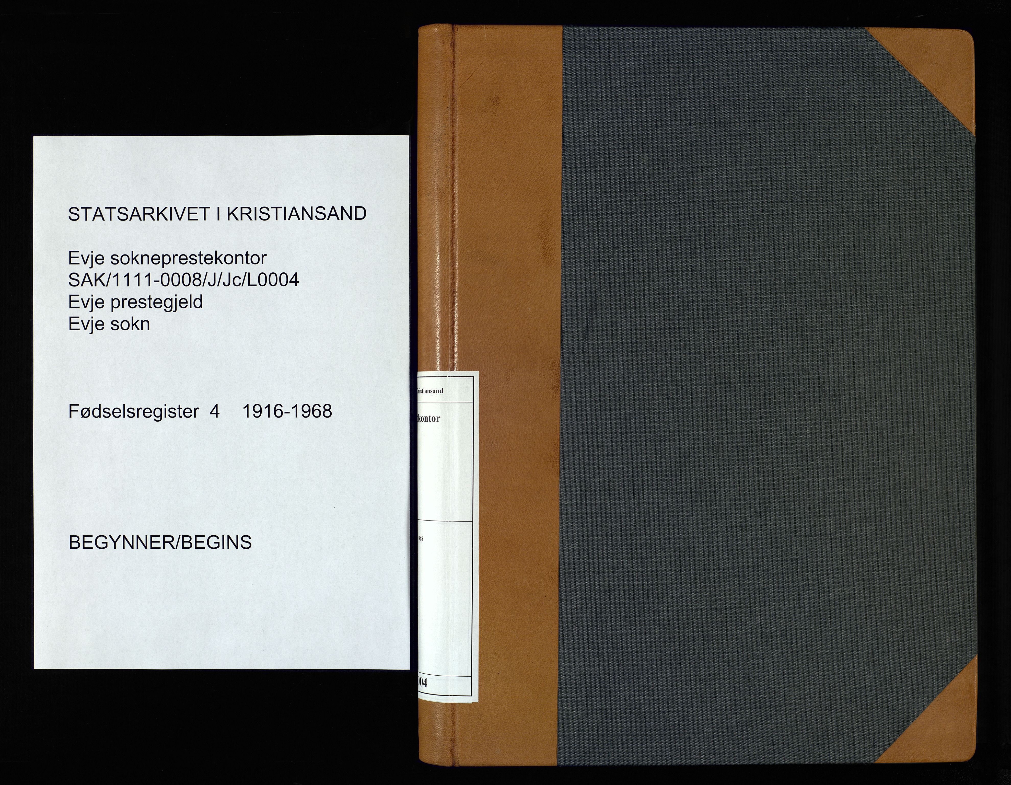 Evje sokneprestkontor, SAK/1111-0008/J/Jc/L0004: Birth register no. 4, 1916-1968
