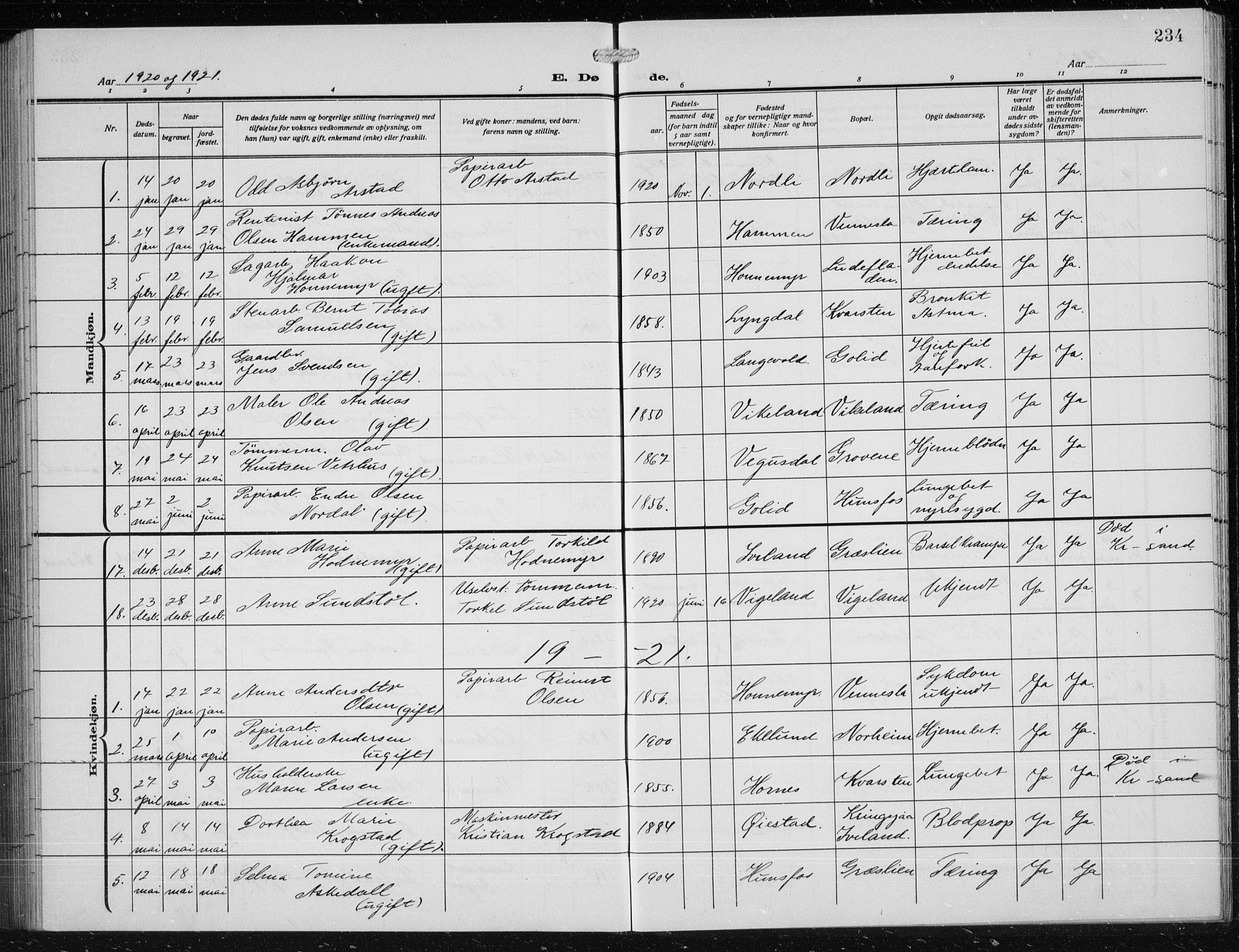 Vennesla sokneprestkontor, AV/SAK-1111-0045/Fb/Fbb/L0006: Parish register (copy) no. B 6, 1914-1921, p. 234