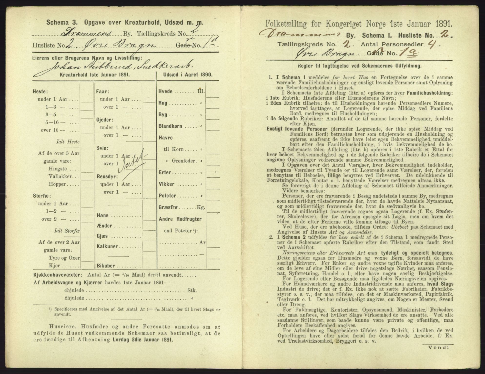 RA, 1891 census for 0602 Drammen, 1891, p. 203