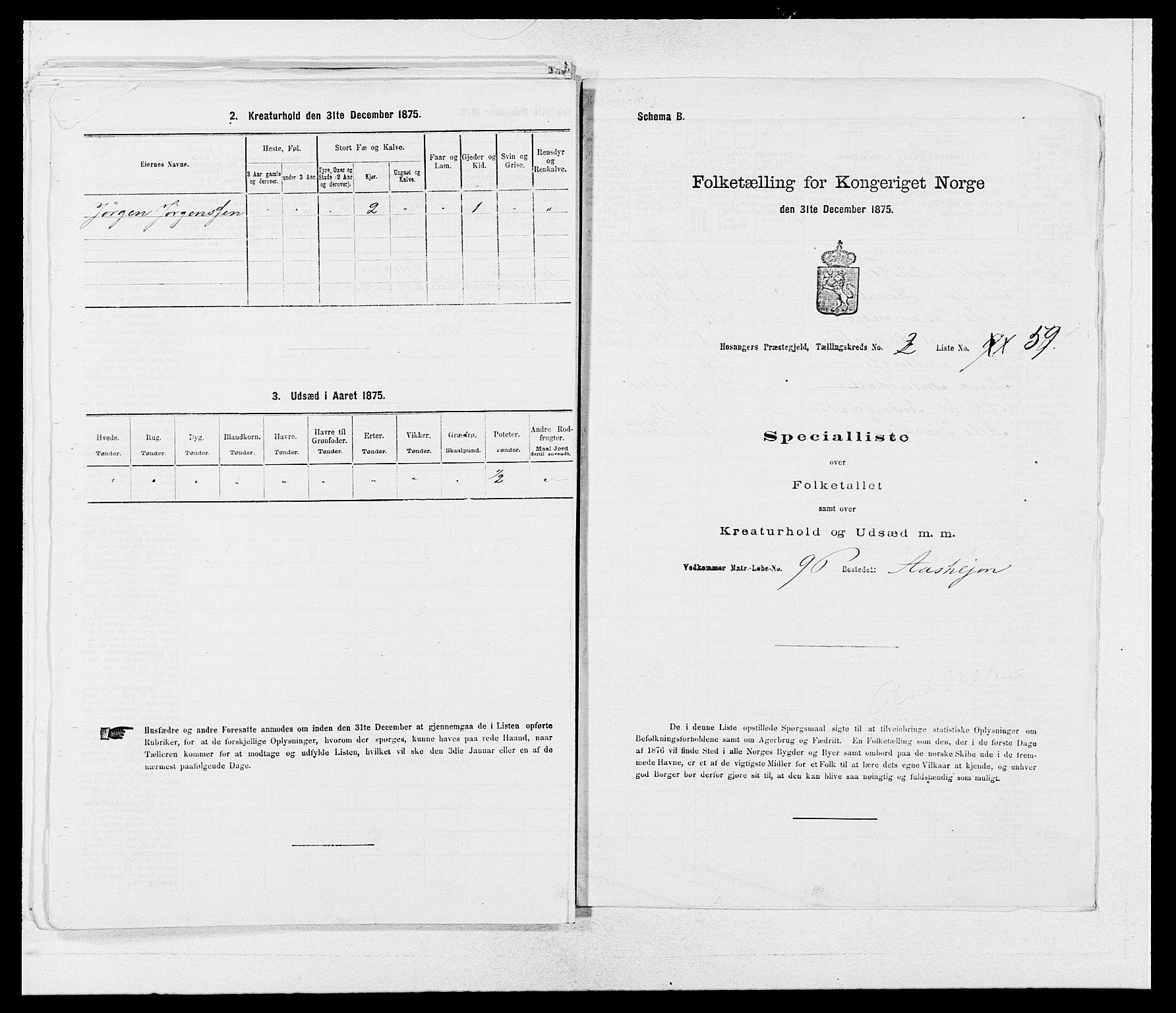 SAB, 1875 census for 1253P Hosanger, 1875, p. 271