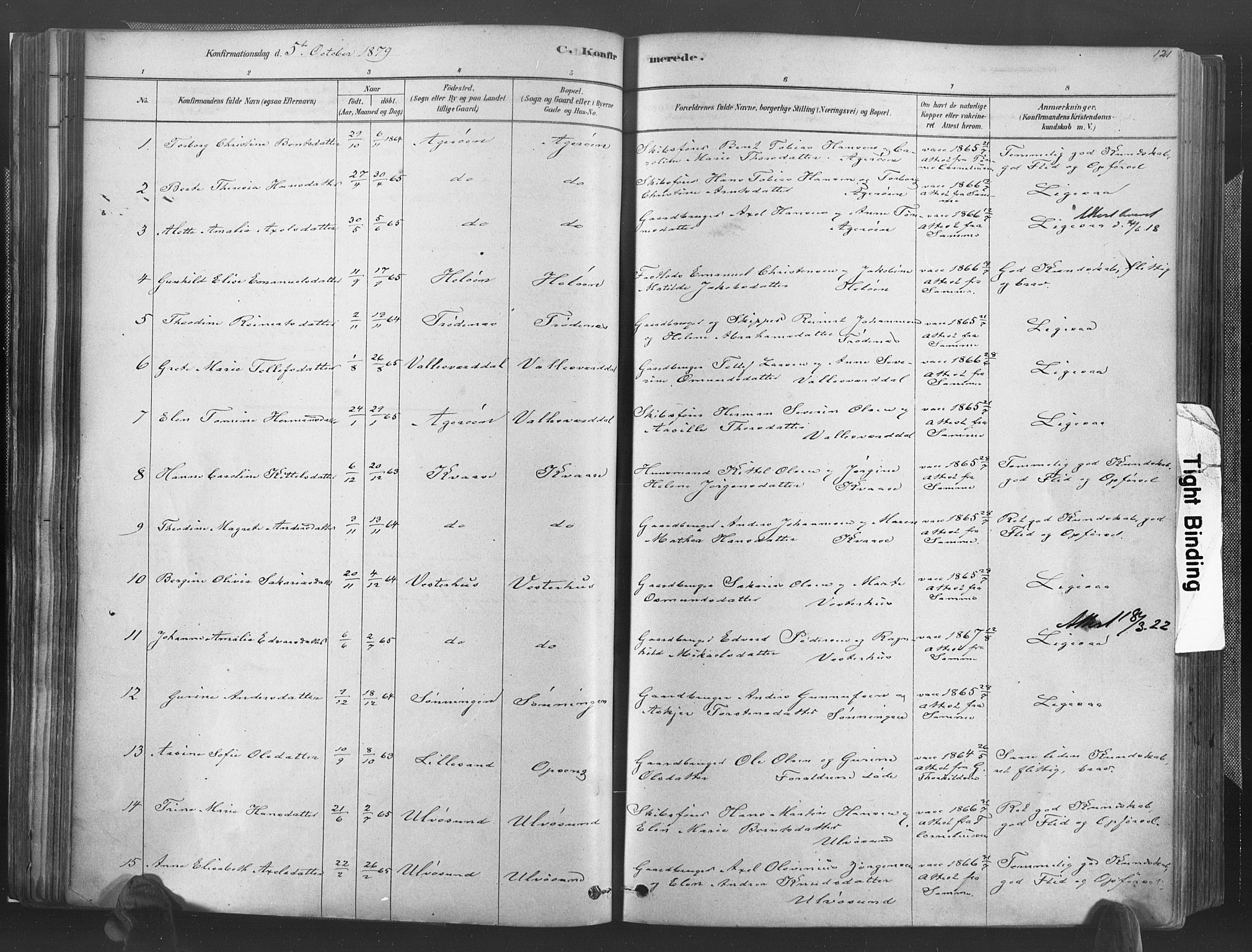 Høvåg sokneprestkontor, AV/SAK-1111-0025/F/Fa/L0005: Parish register (official) no. A 5, 1878-1893, p. 121