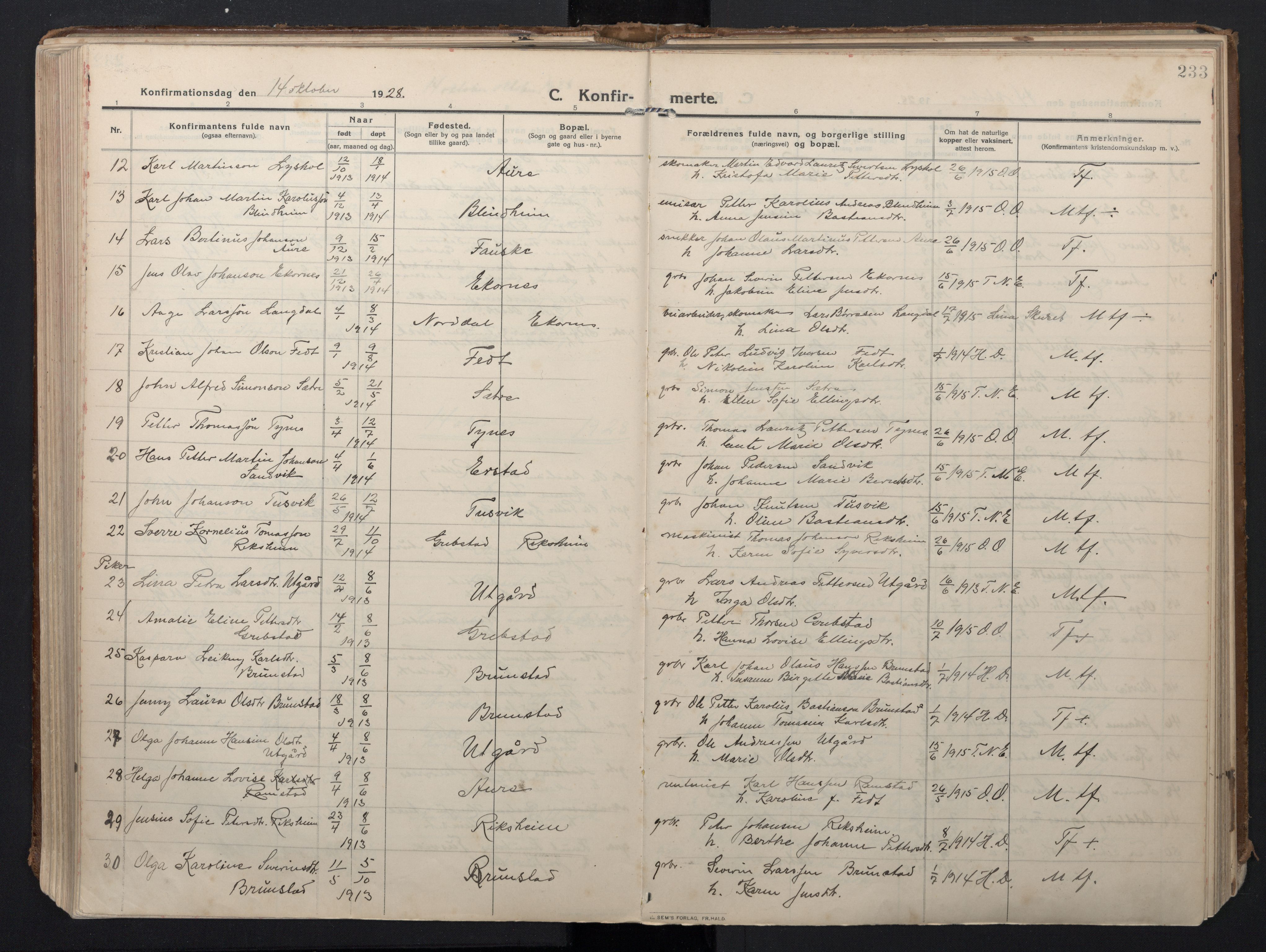 Ministerialprotokoller, klokkerbøker og fødselsregistre - Møre og Romsdal, AV/SAT-A-1454/523/L0337: Parish register (official) no. 523A04, 1911-1929, p. 233