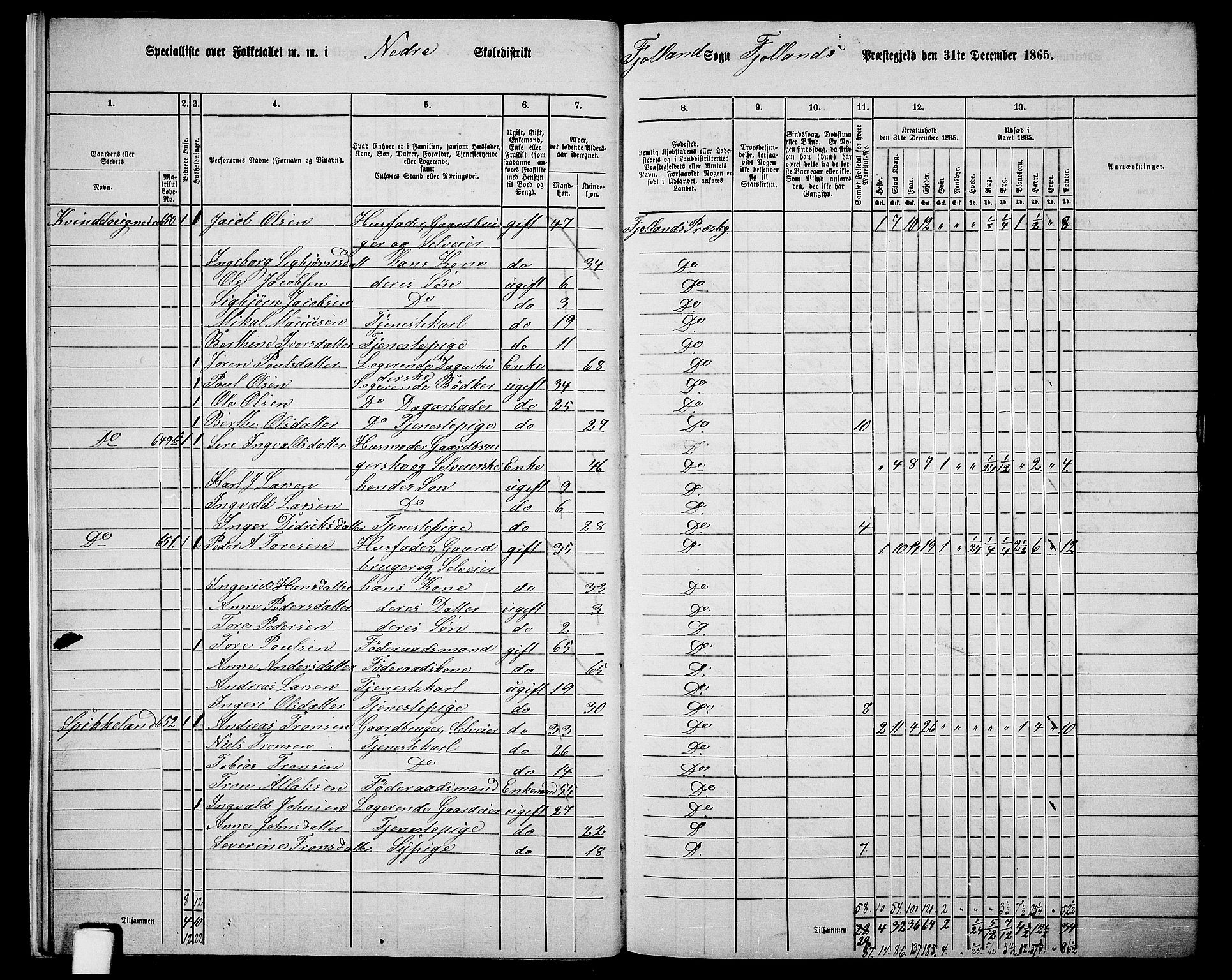 RA, 1865 census for Fjotland, 1865, p. 13