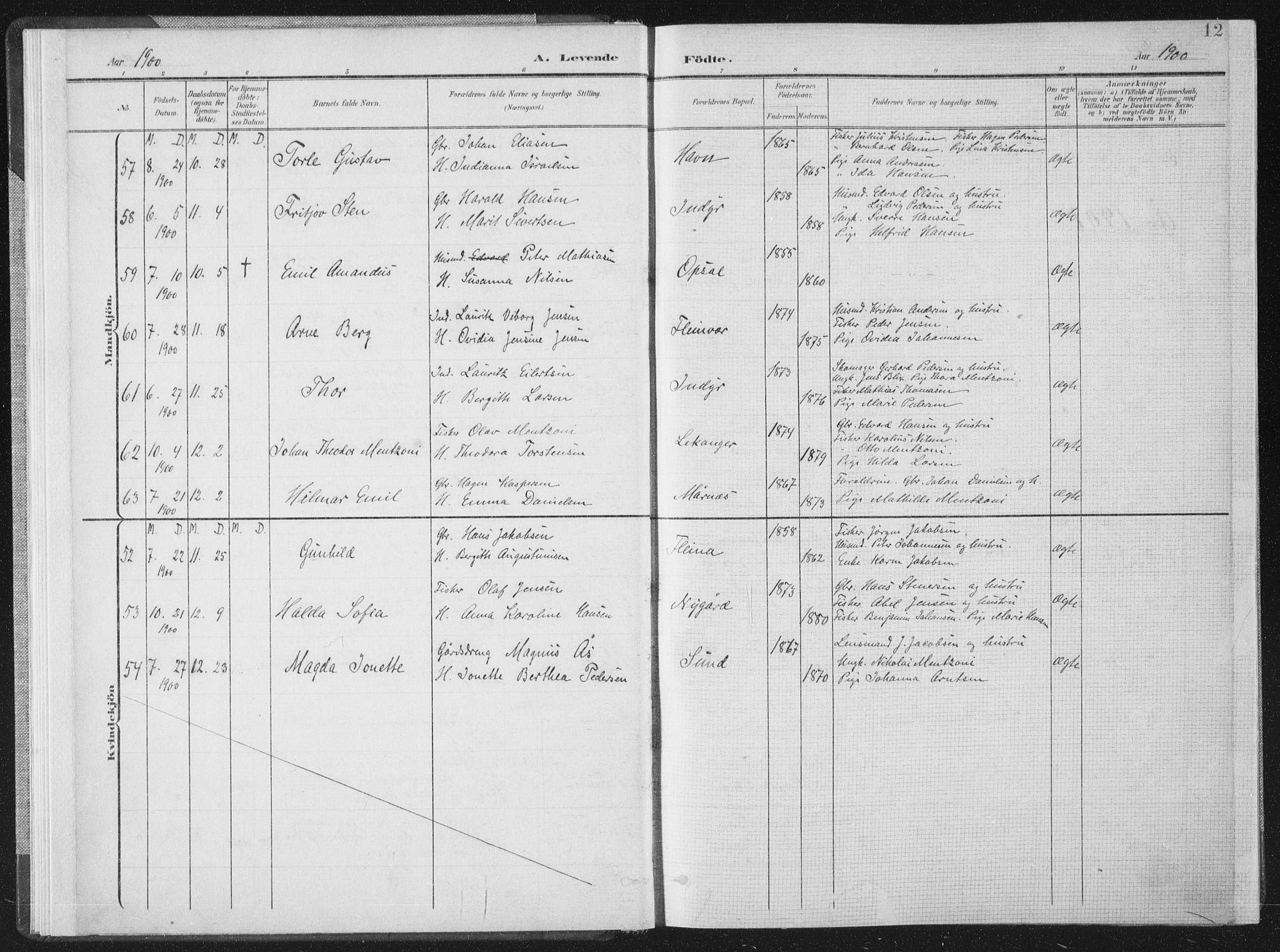 Ministerialprotokoller, klokkerbøker og fødselsregistre - Nordland, AV/SAT-A-1459/805/L0102: Parish register (official) no. 805A08I, 1900-1909, p. 12