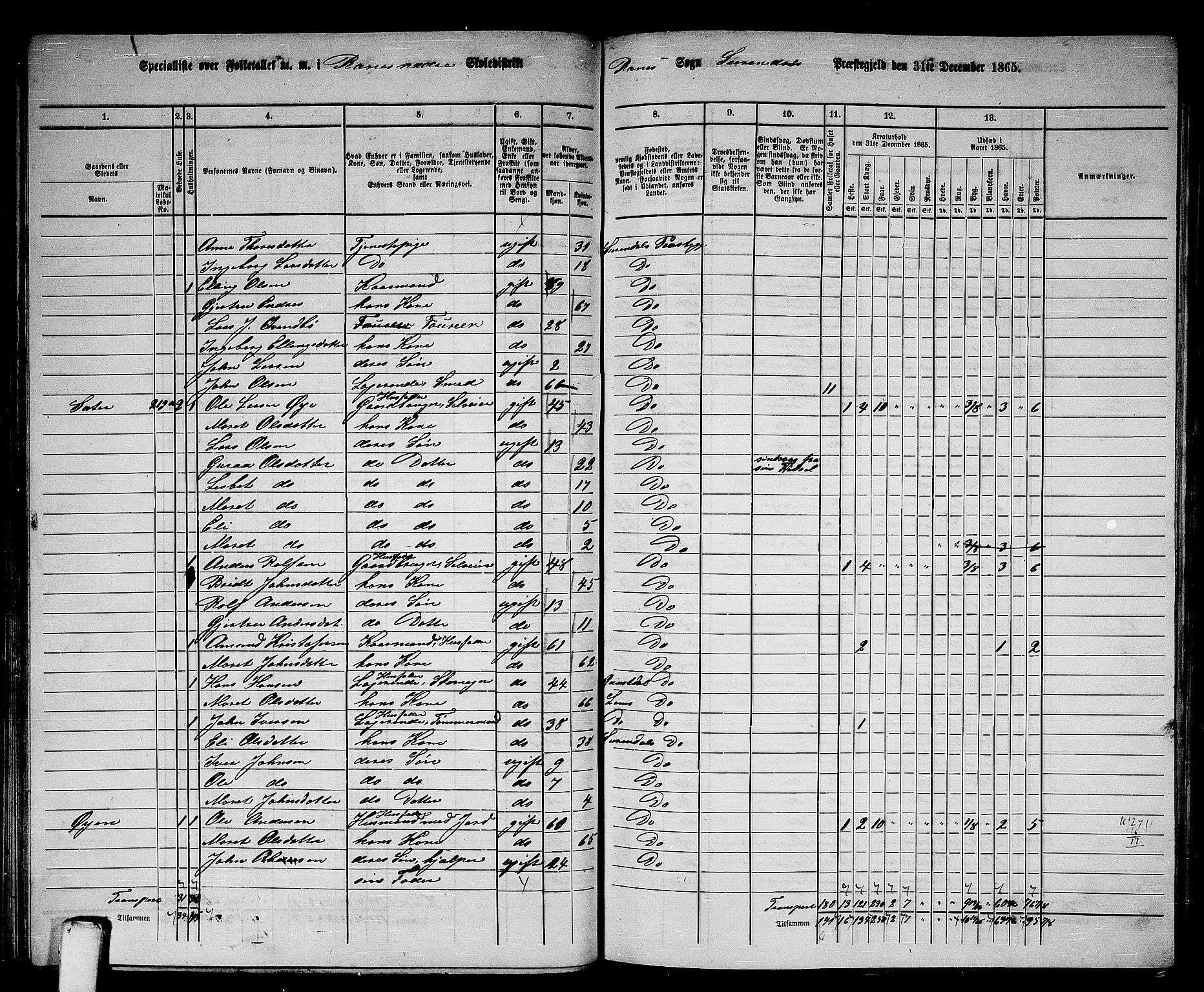 RA, 1865 census for Surnadal, 1865, p. 85