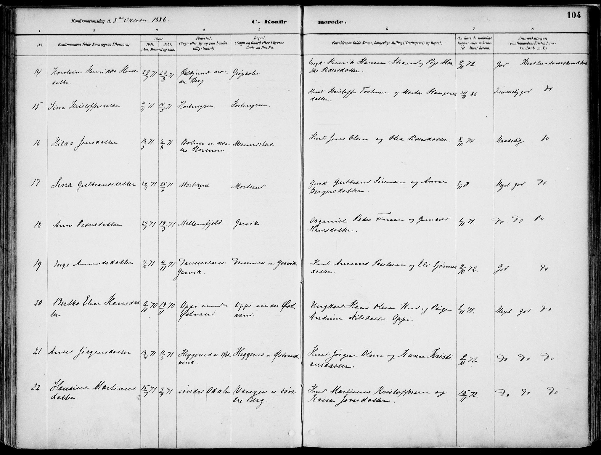 Nord-Odal prestekontor, SAH/PREST-032/H/Ha/Haa/L0008: Parish register (official) no. 8, 1886-1901, p. 104