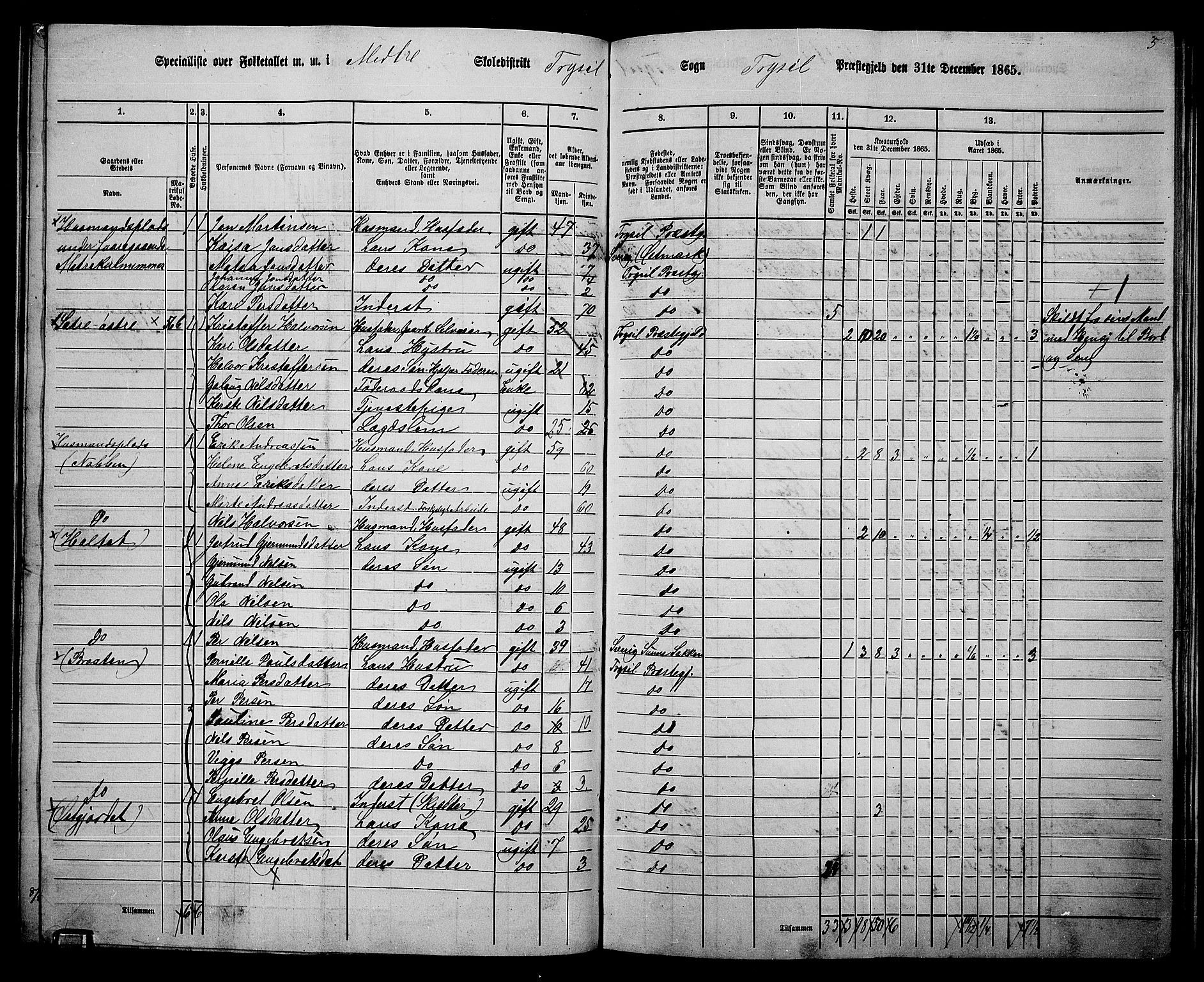 RA, 1865 census for Trysil, 1865, p. 116