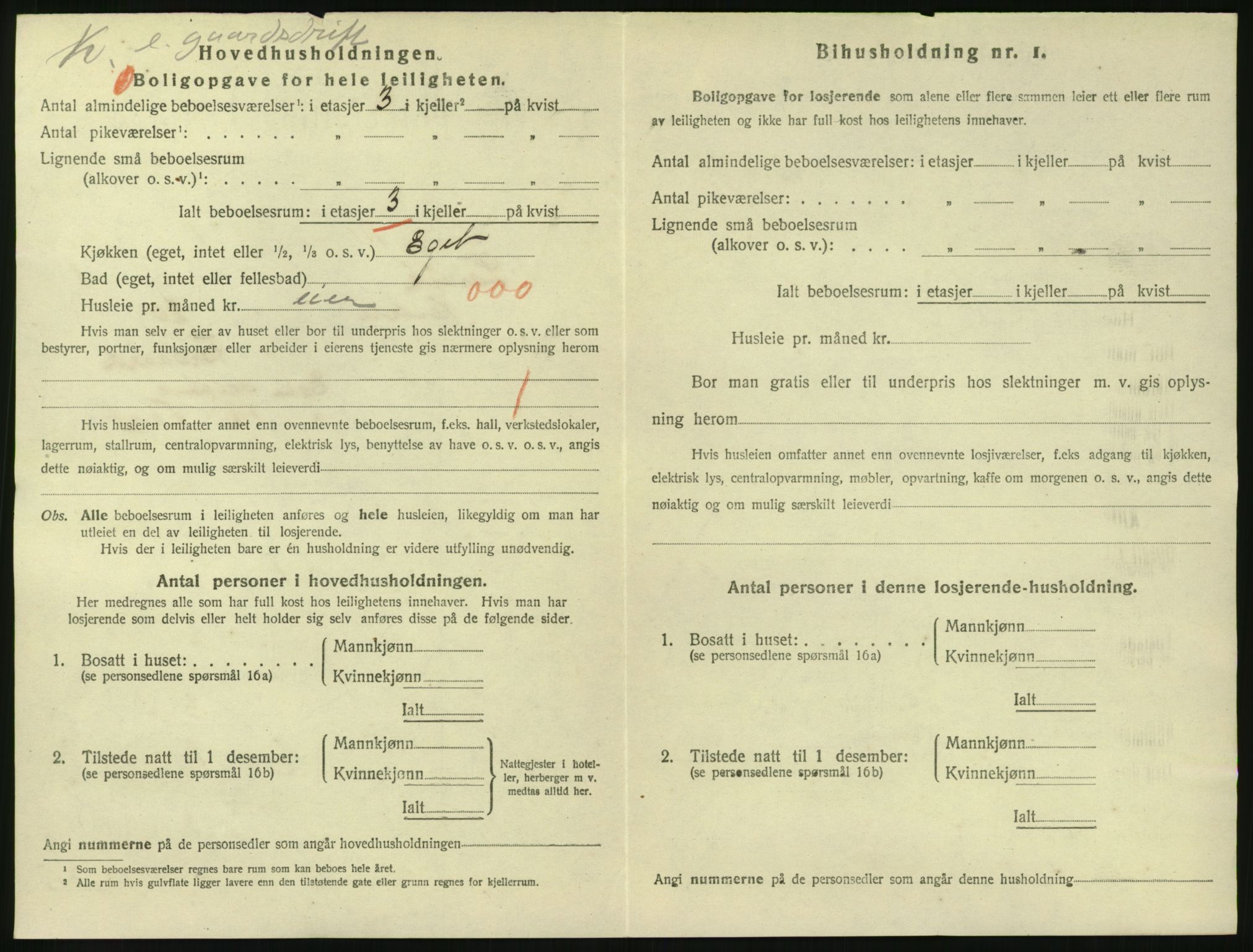 SAKO, 1920 census for Larvik, 1920, p. 3423