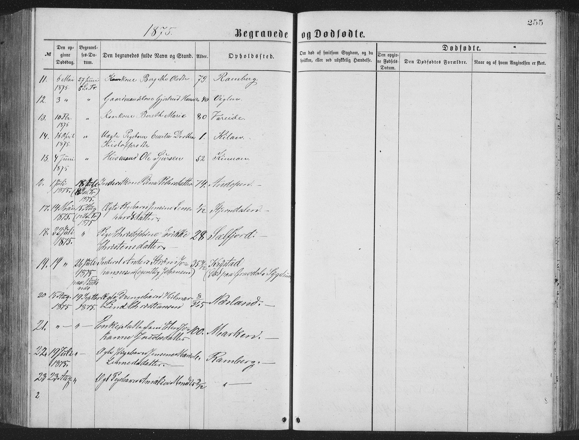 Ministerialprotokoller, klokkerbøker og fødselsregistre - Nordland, AV/SAT-A-1459/885/L1213: Parish register (copy) no. 885C02, 1874-1892, p. 255