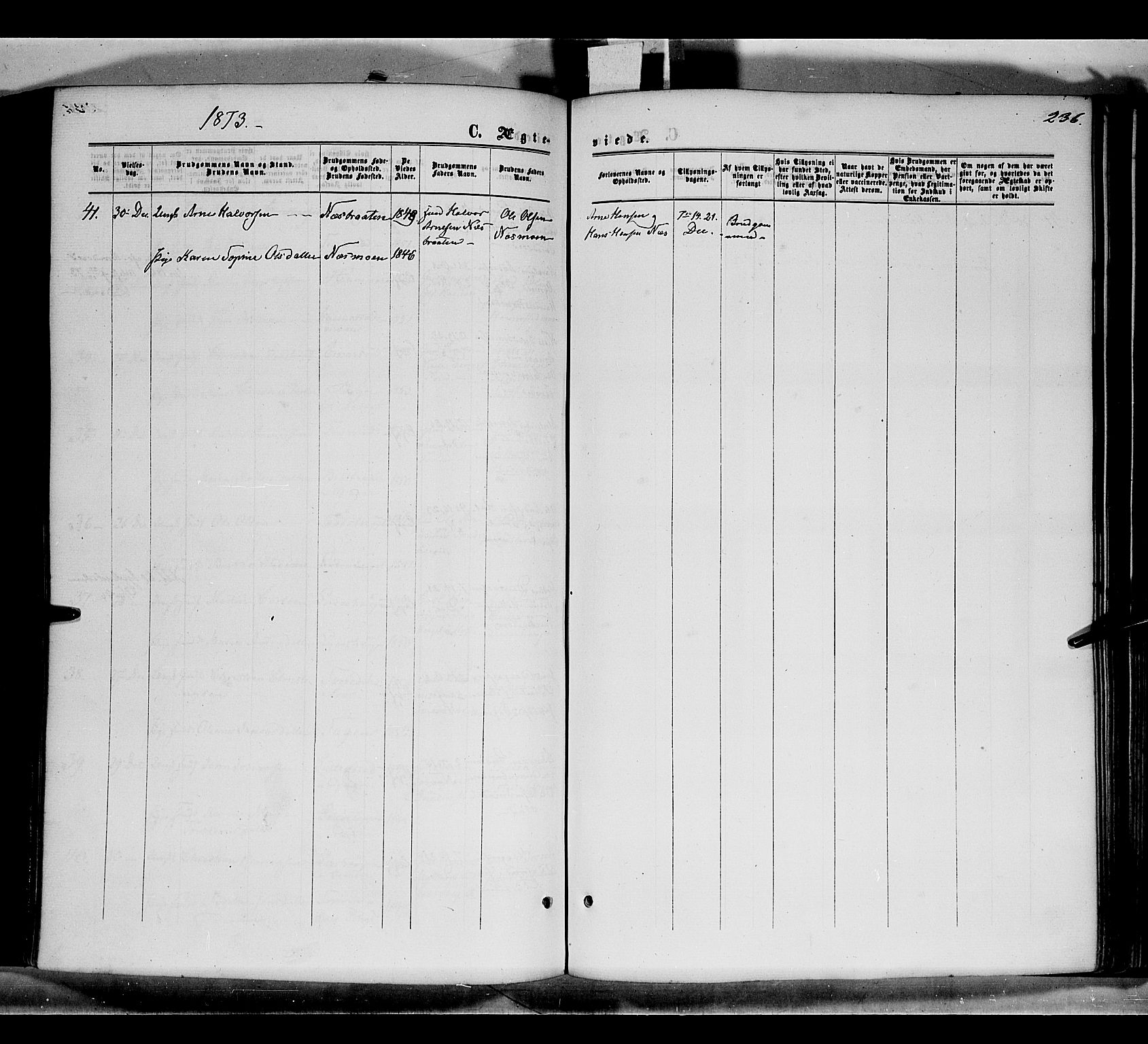 Grue prestekontor, AV/SAH-PREST-036/H/Ha/Haa/L0010: Parish register (official) no. 10, 1864-1873, p. 236