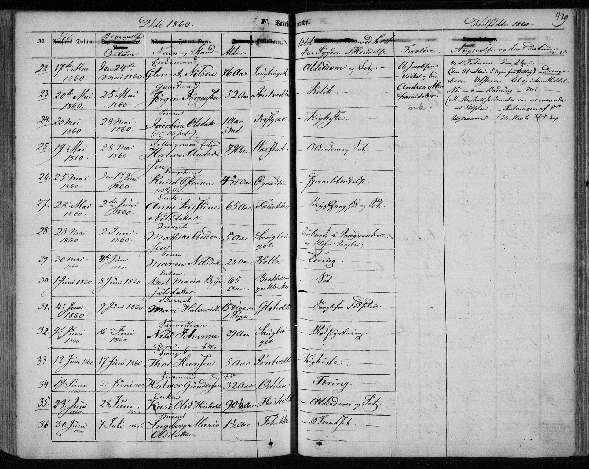 Holla kirkebøker, AV/SAKO-A-272/F/Fa/L0005: Parish register (official) no. 5, 1849-1860, p. 429