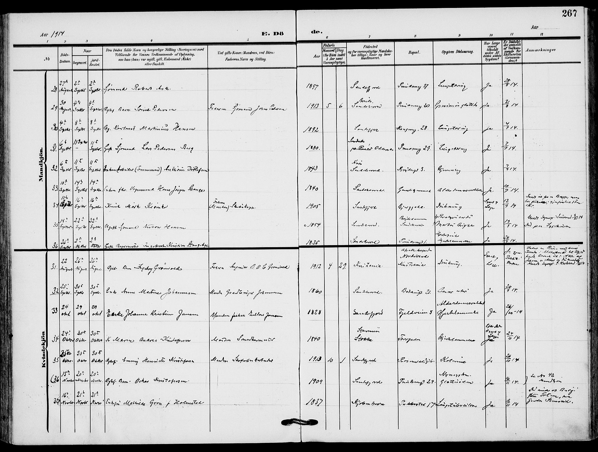 Sandefjord kirkebøker, AV/SAKO-A-315/F/Fa/L0005: Parish register (official) no. 5, 1906-1915, p. 267